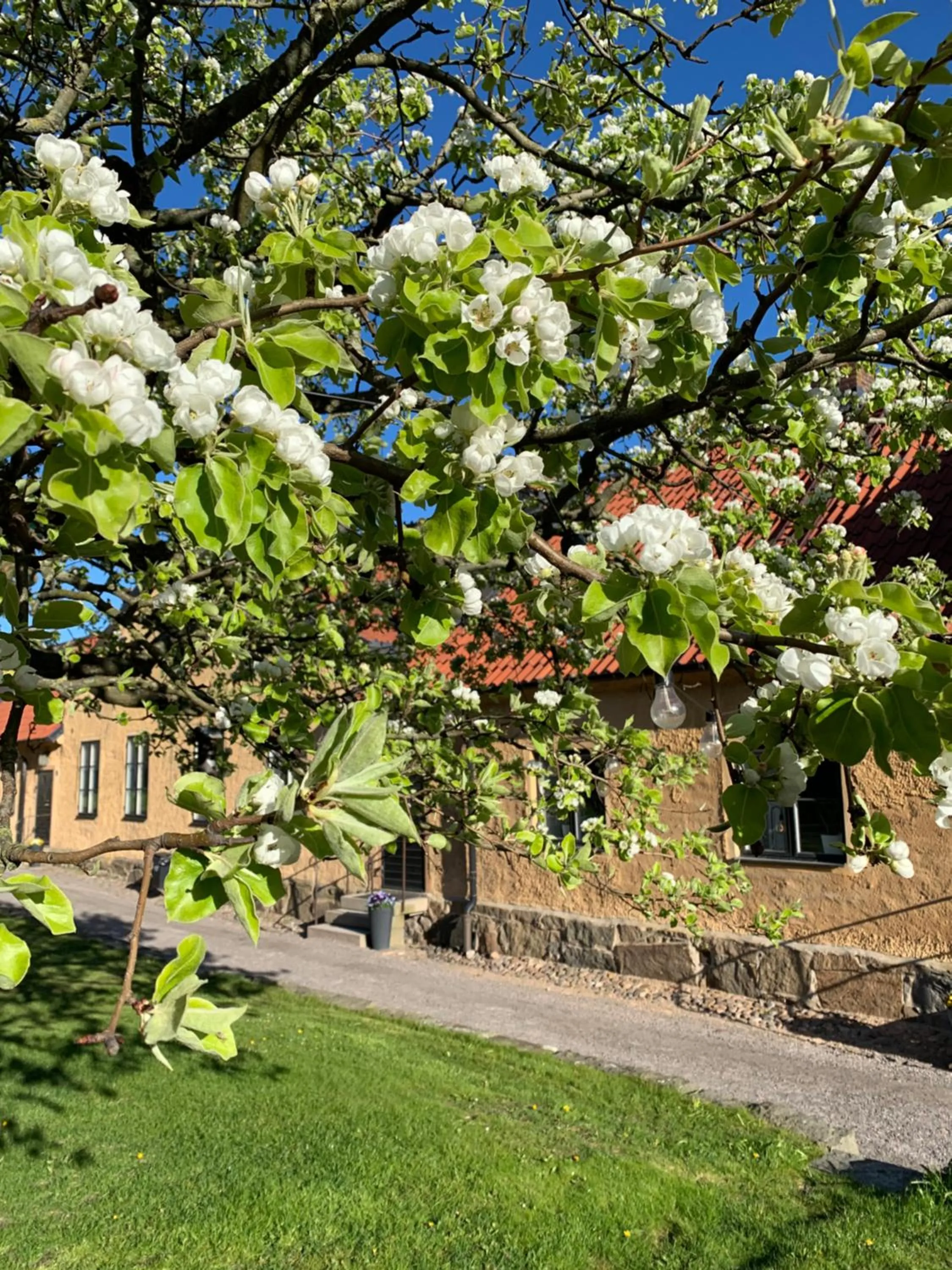 Patio in Fästningens