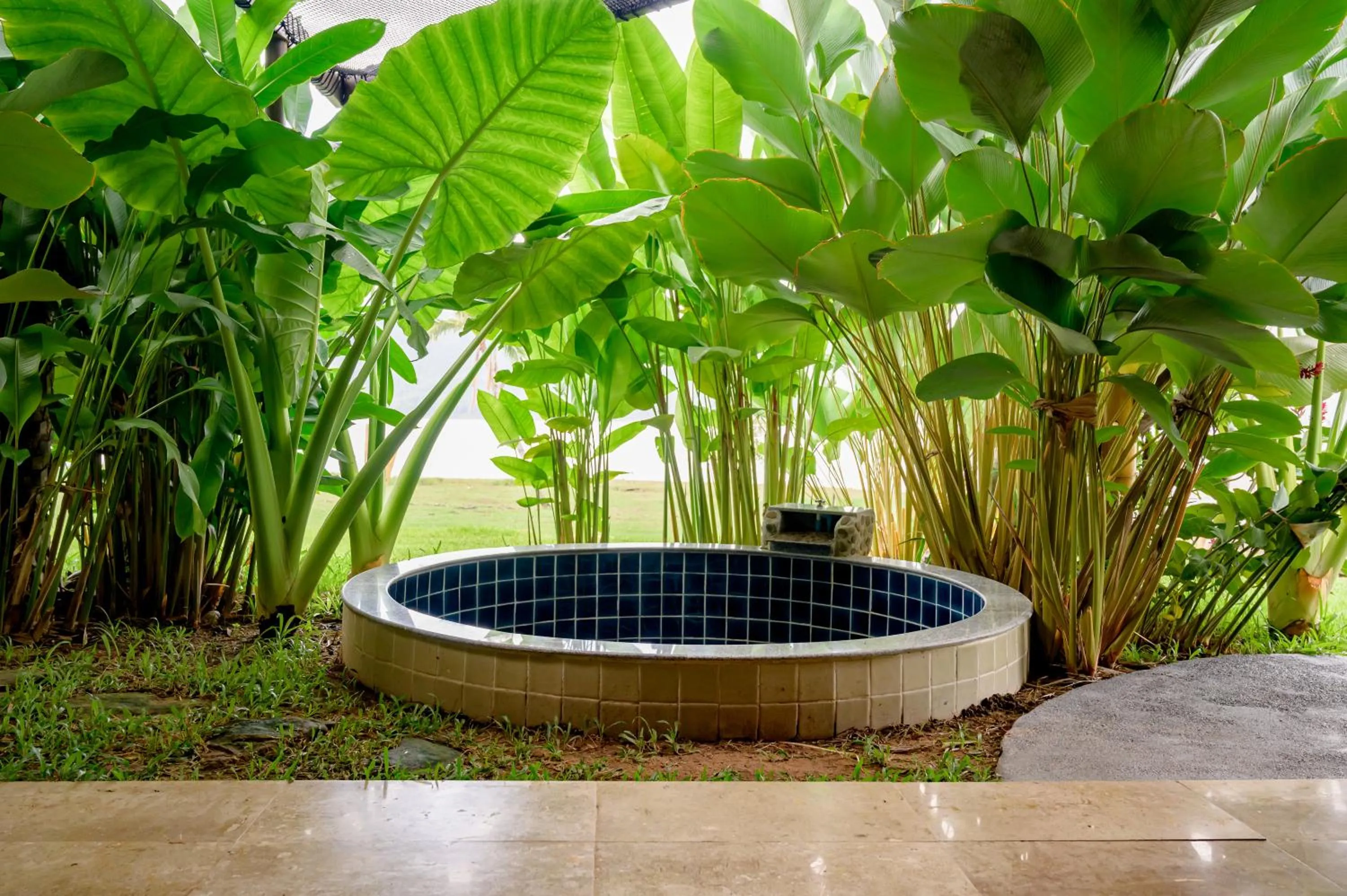 Earth Elements Eco Resort