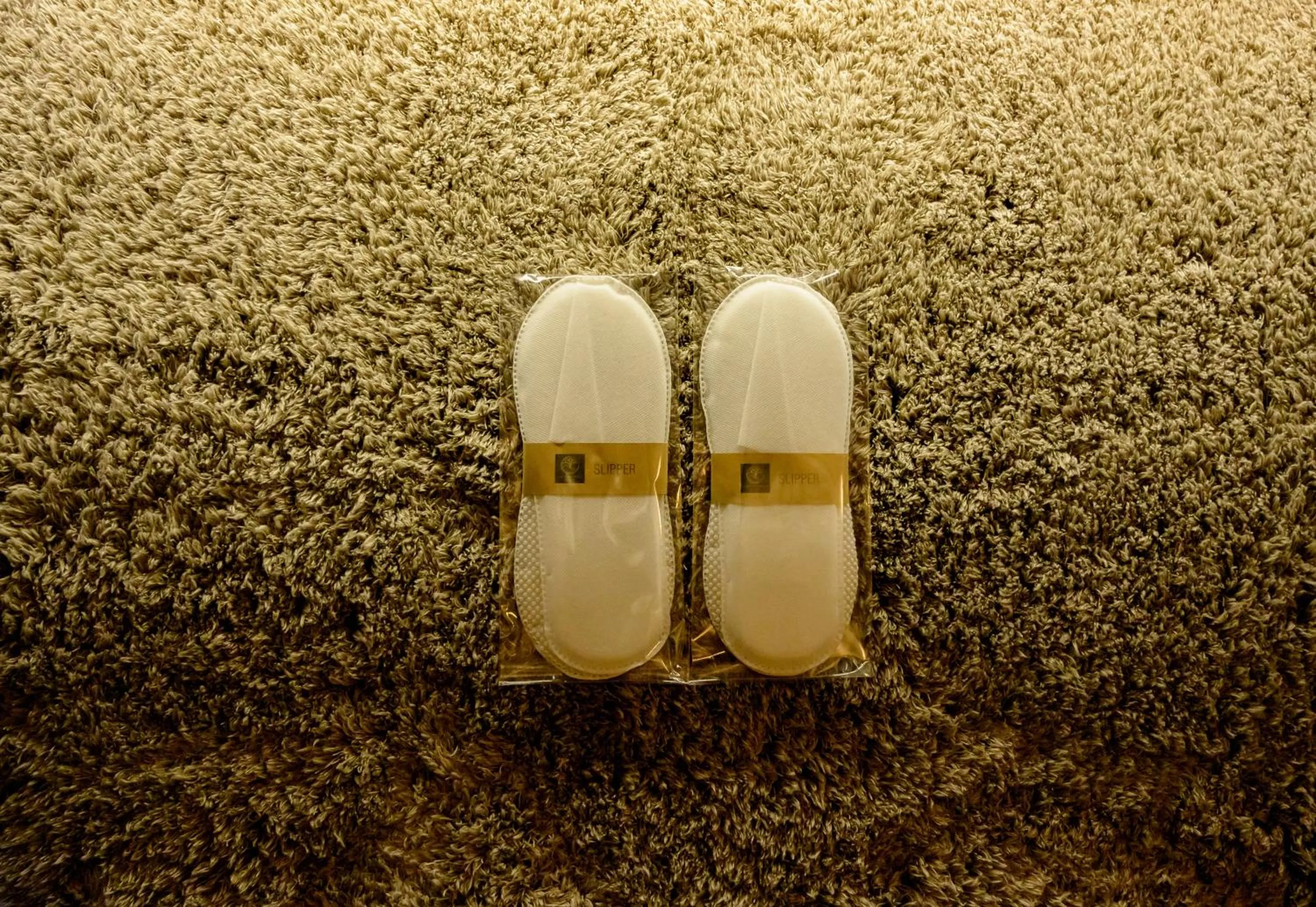 Earth Elements Eco Resort