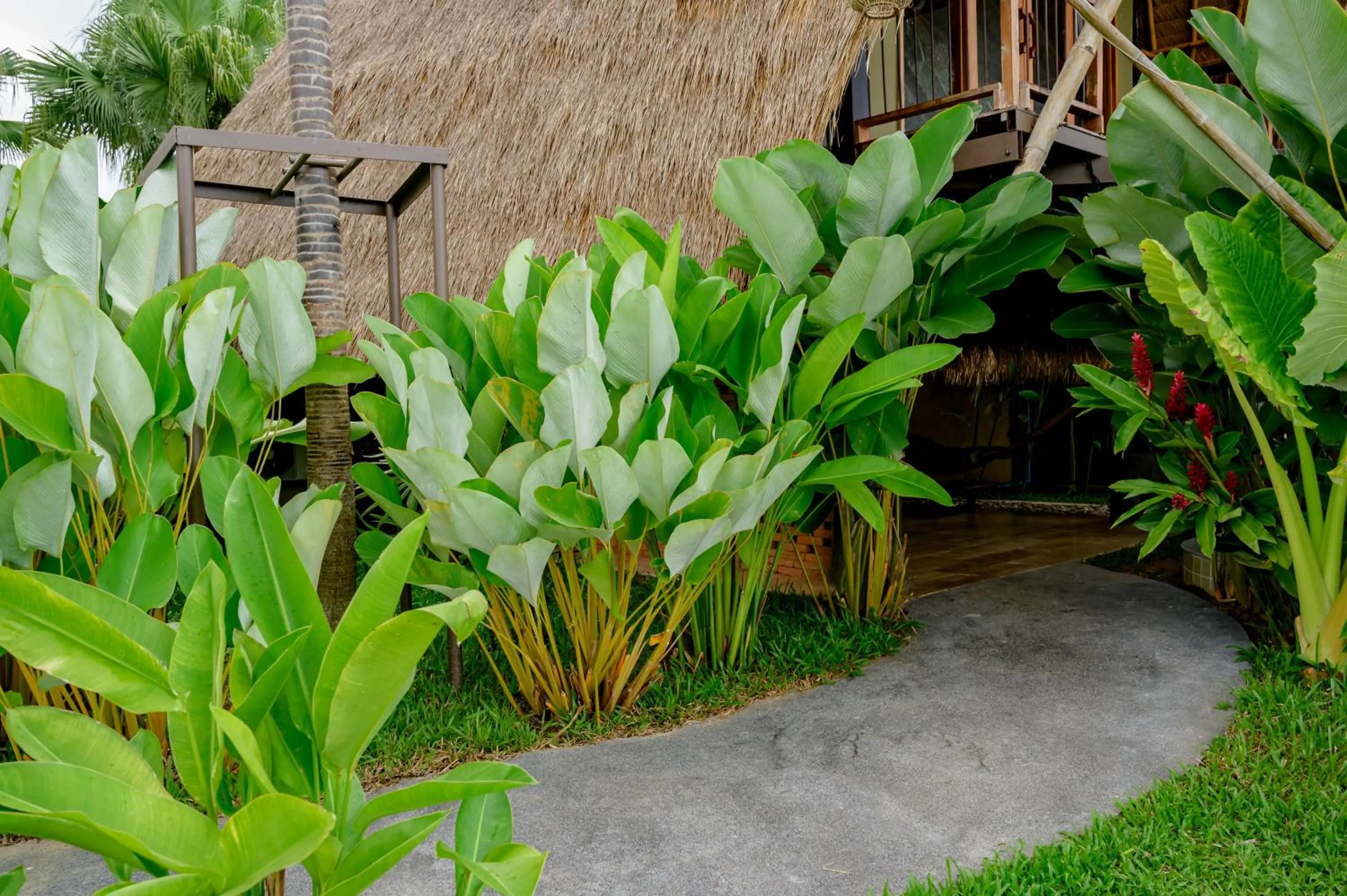 Earth Elements Eco Resort