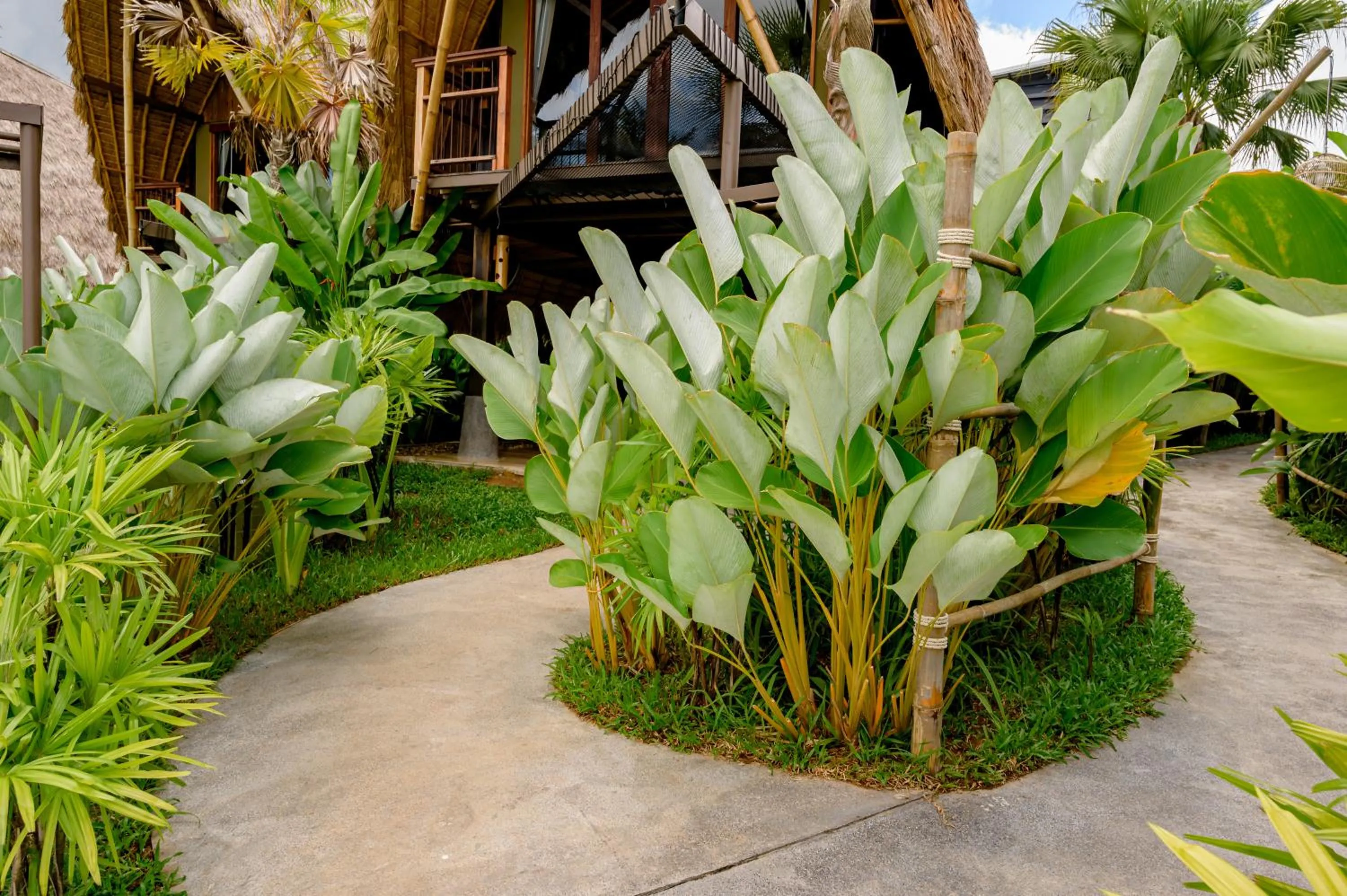 Earth Elements Eco Resort