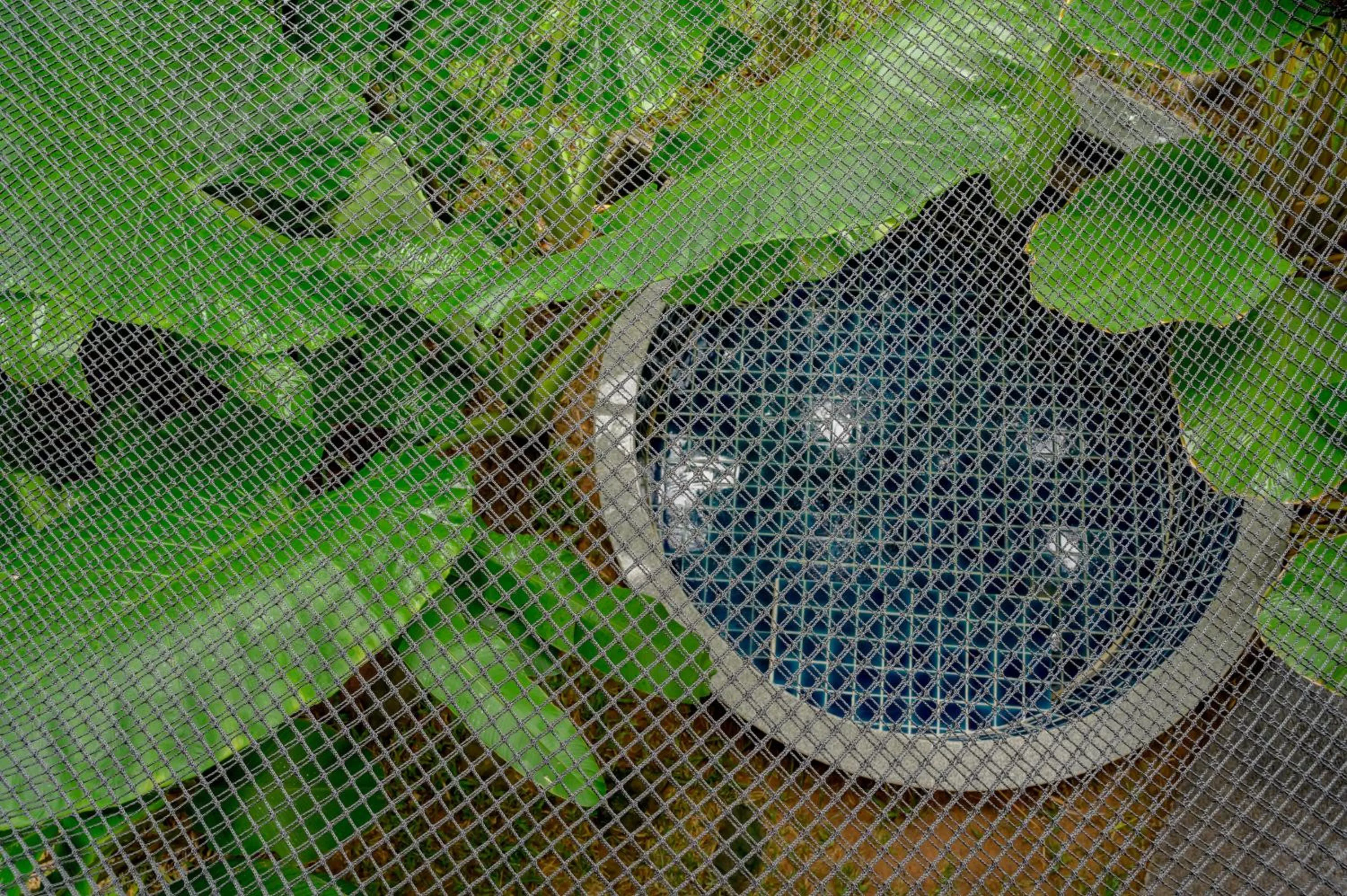 Earth Elements Eco Resort