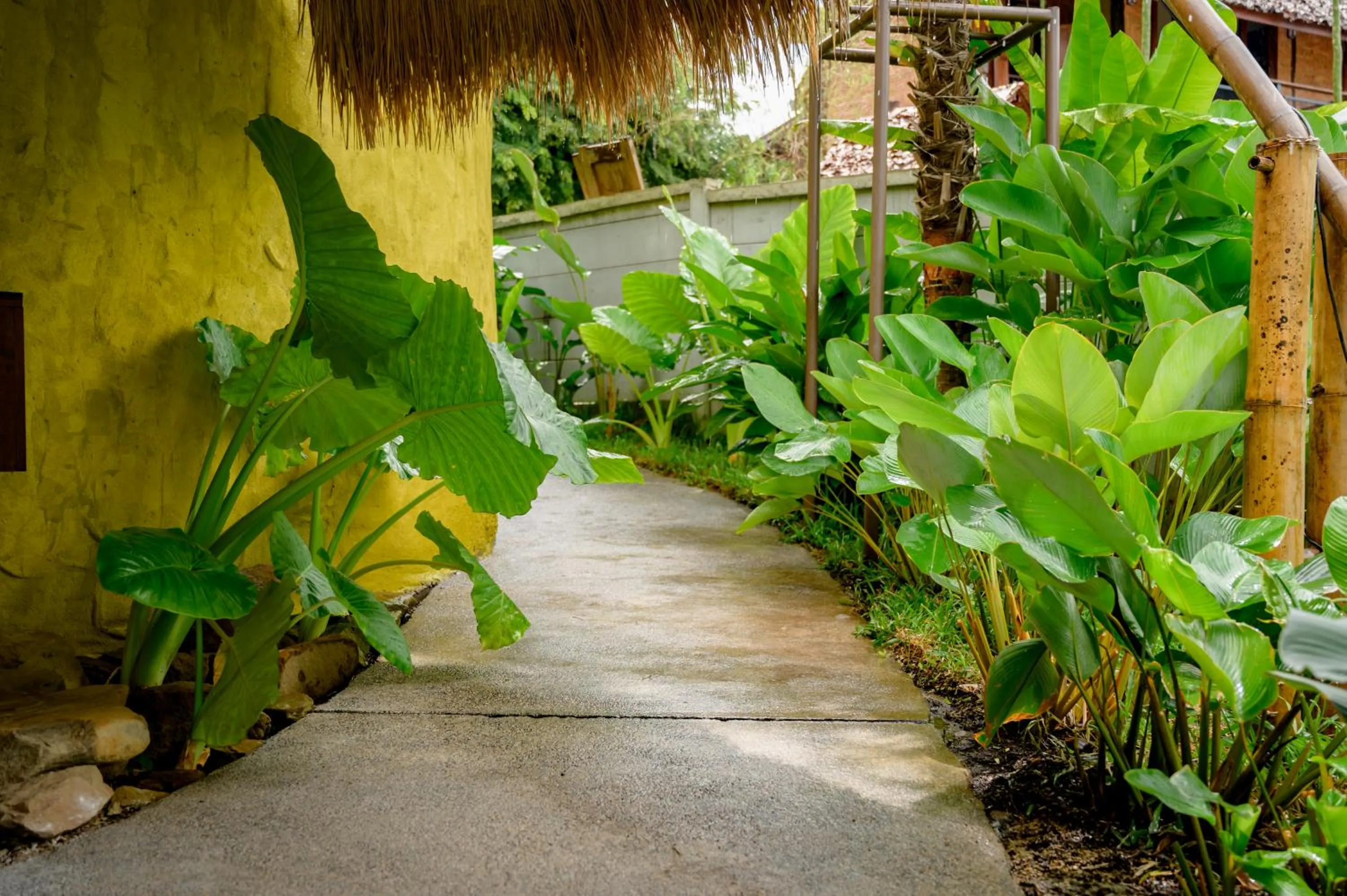 Earth Elements Eco Resort