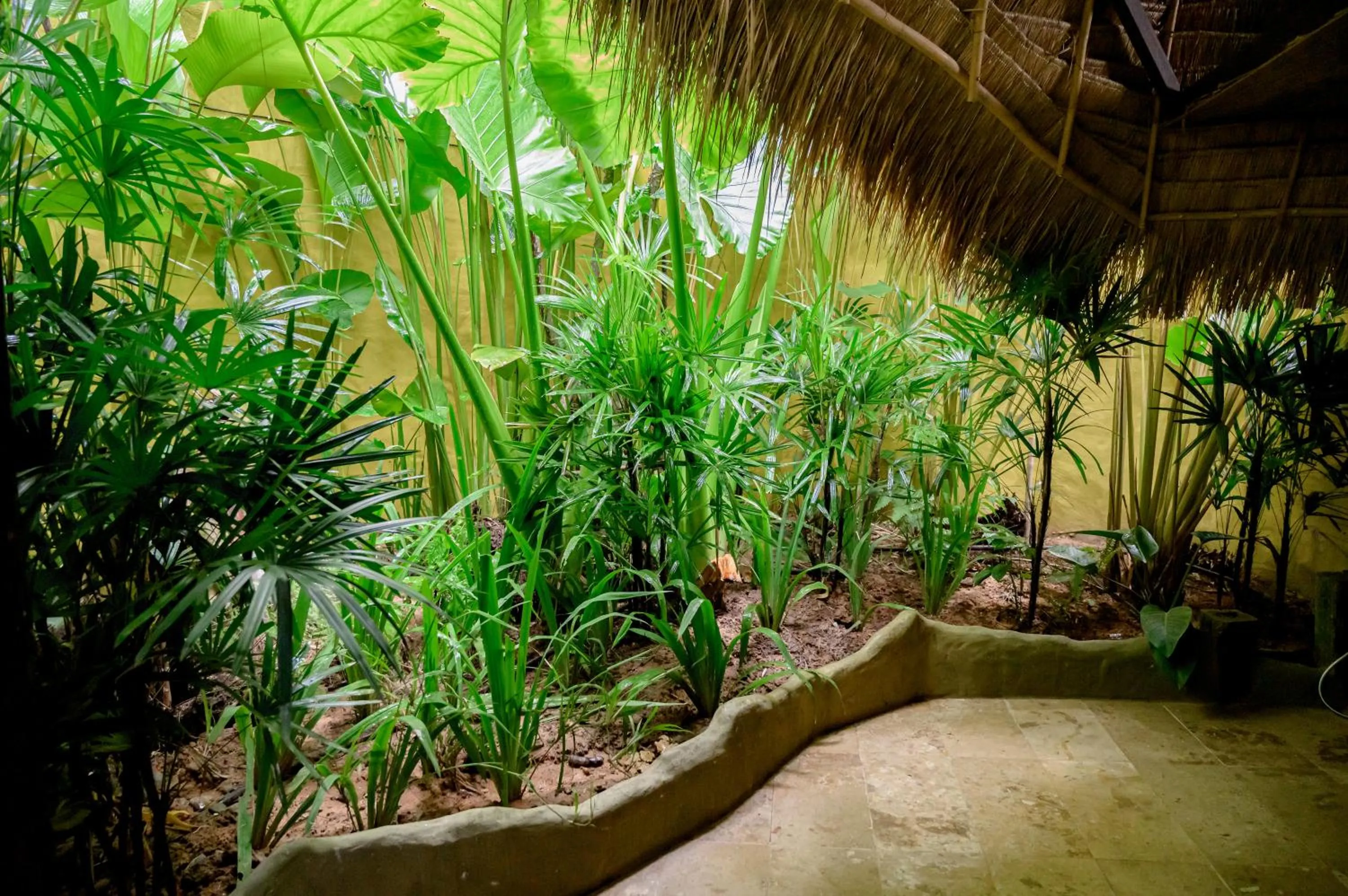 Earth Elements Eco Resort