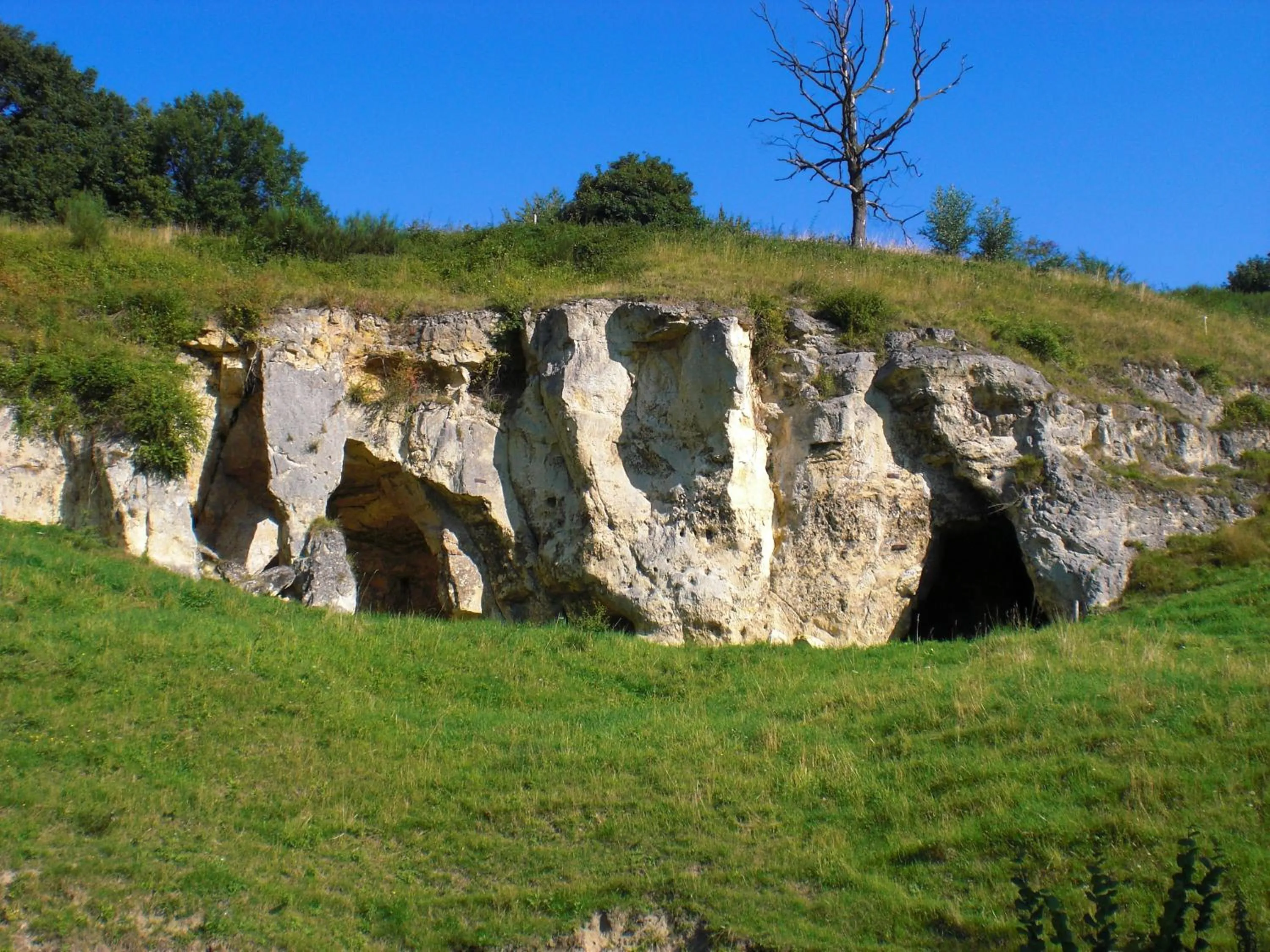 Area and facilities in Hotel Bergrust