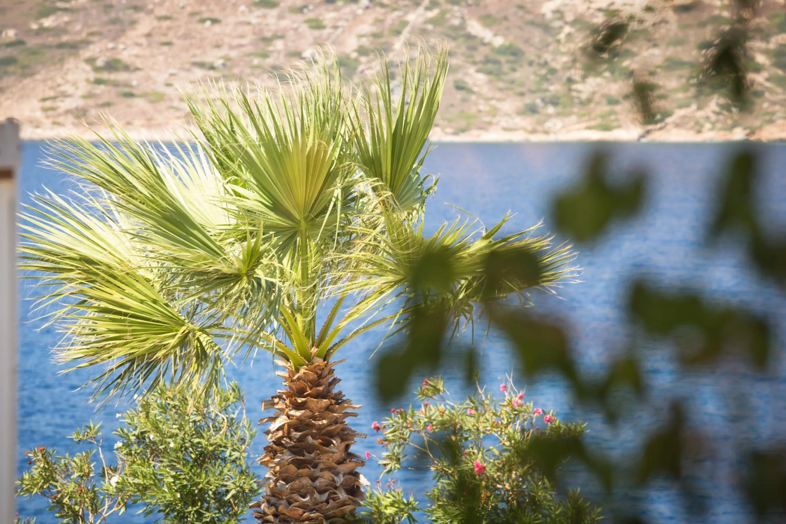 Natural landscape in Elena Village Hotel & Suites