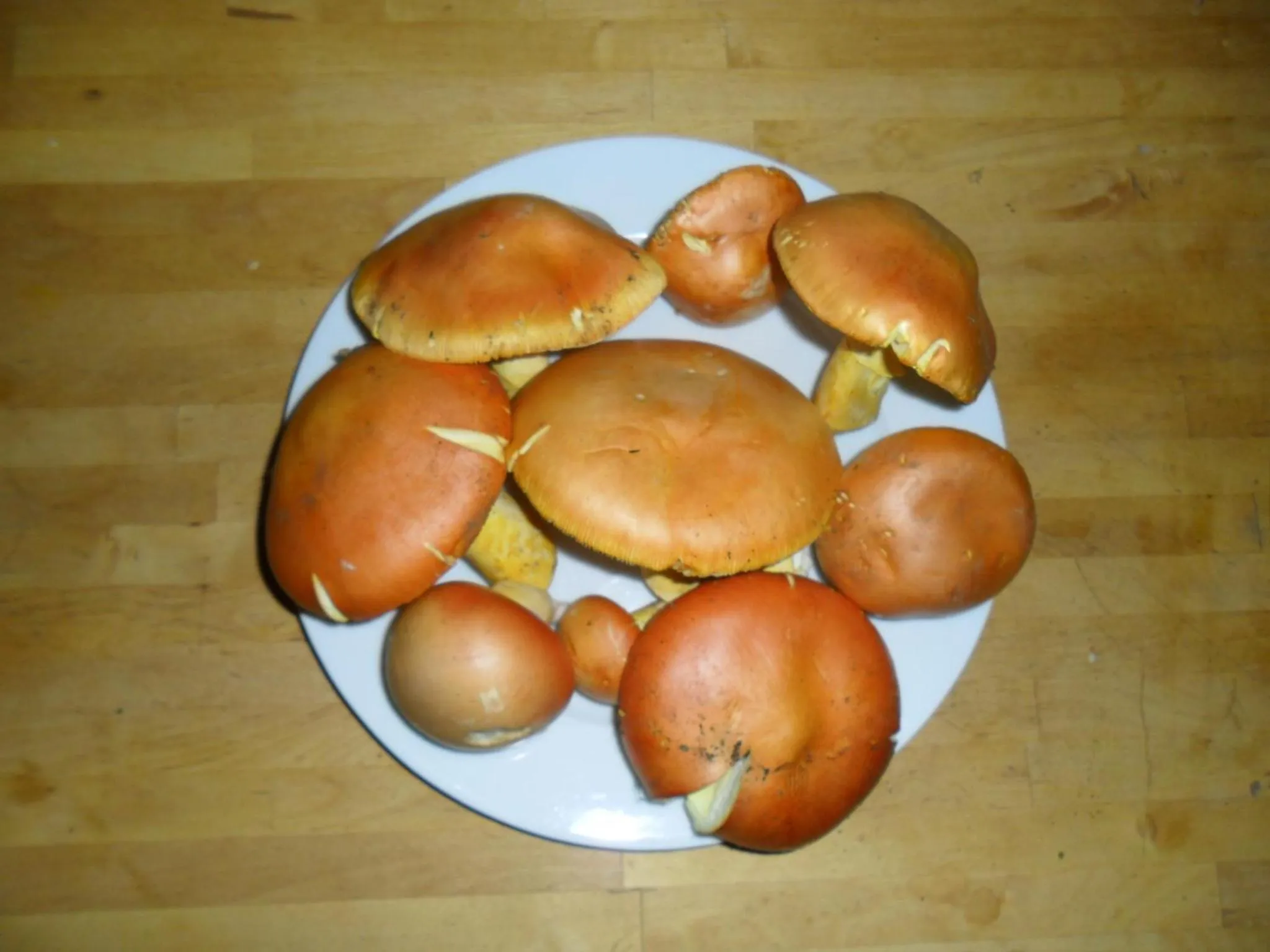 Activities in Casa Annette