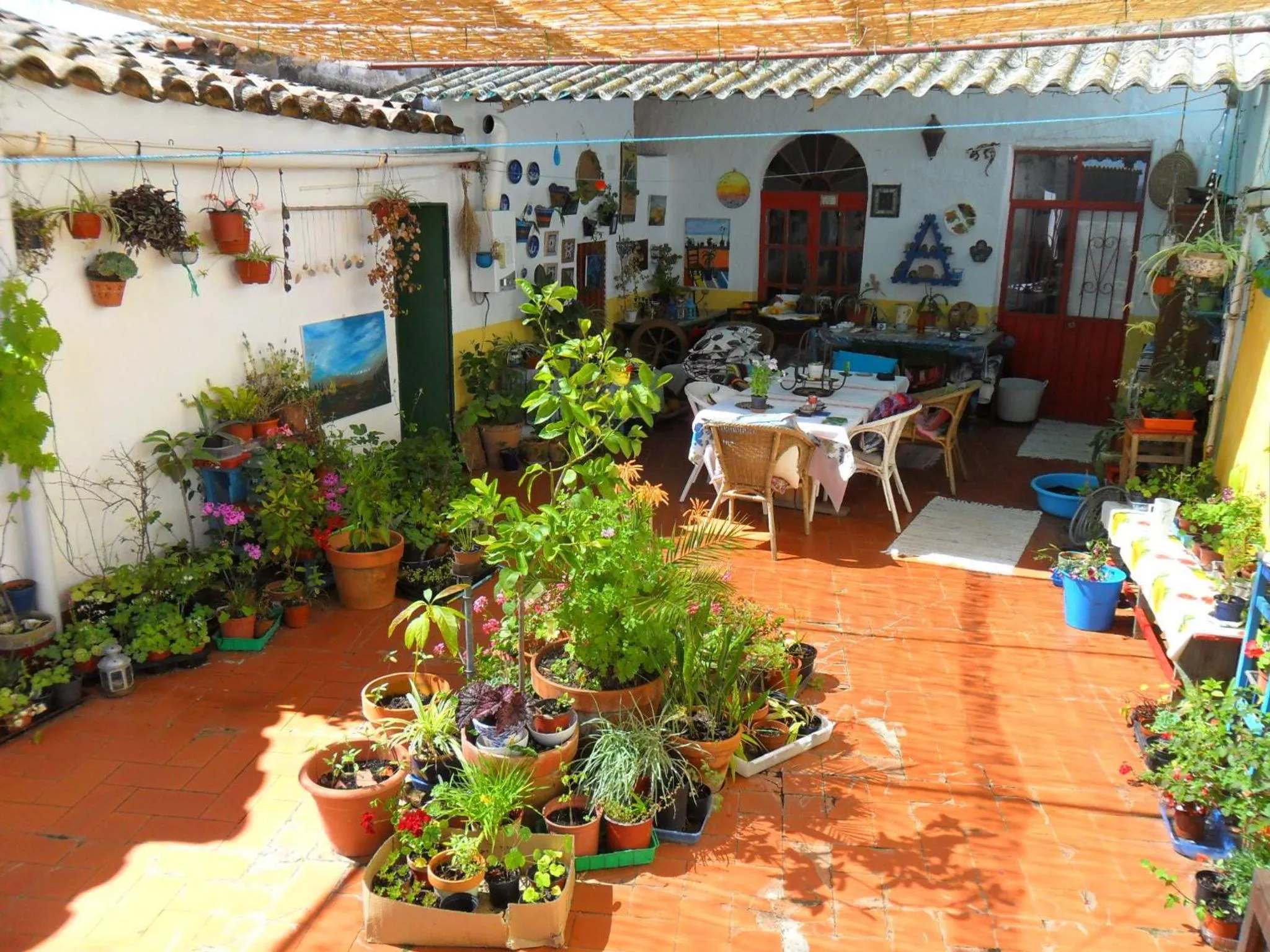 Patio in Casa Annette