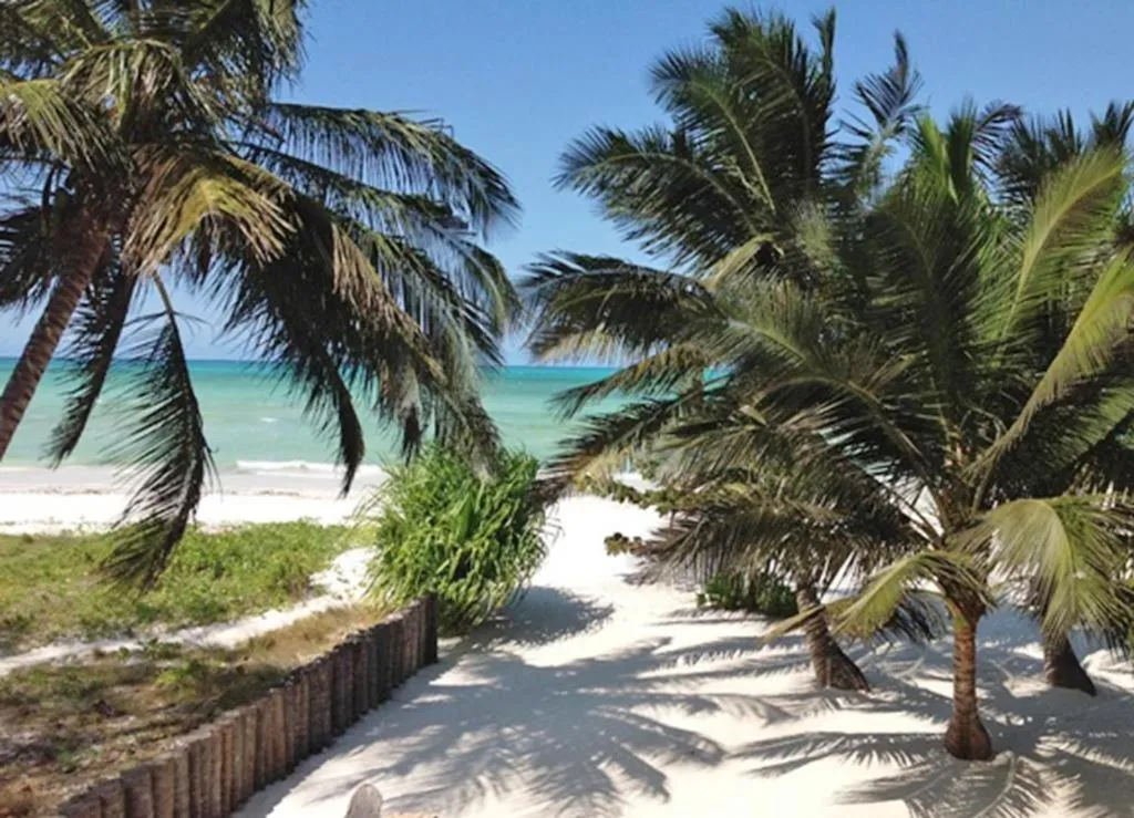 Beach in Pongwe Bay Resort