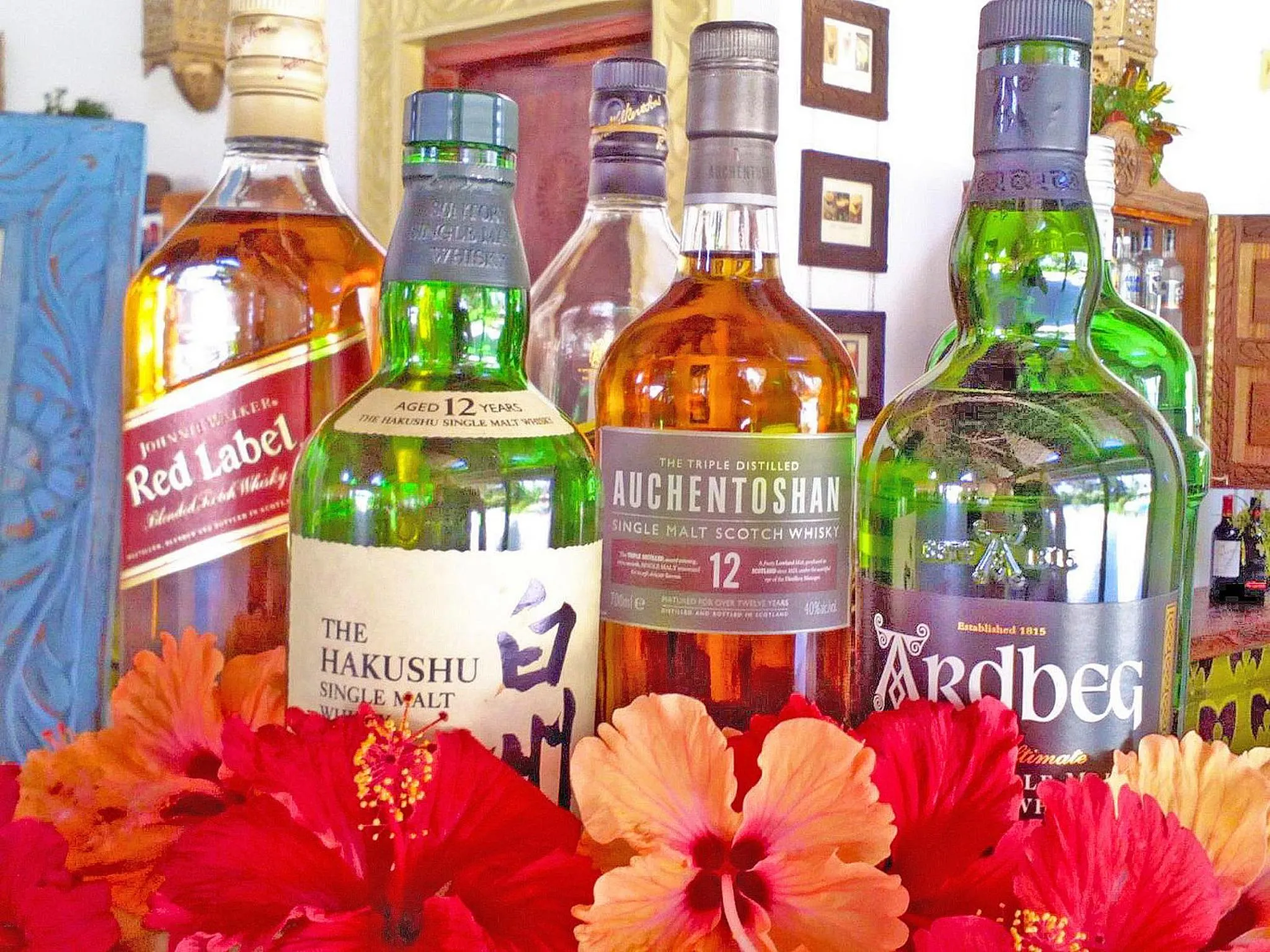 Alcoholic drinks in Pongwe Bay Resort