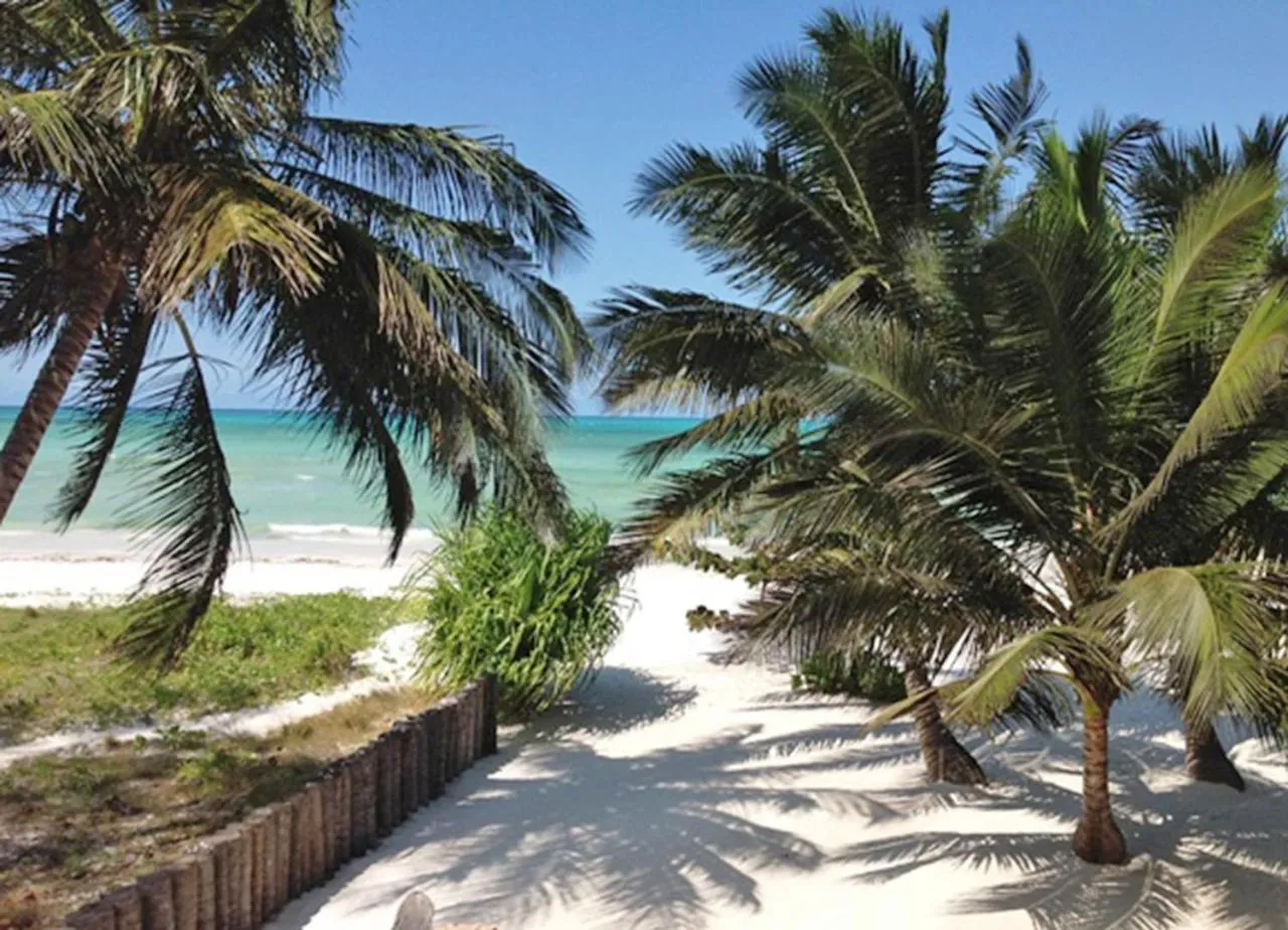 View (from property/room) in Pongwe Bay Resort