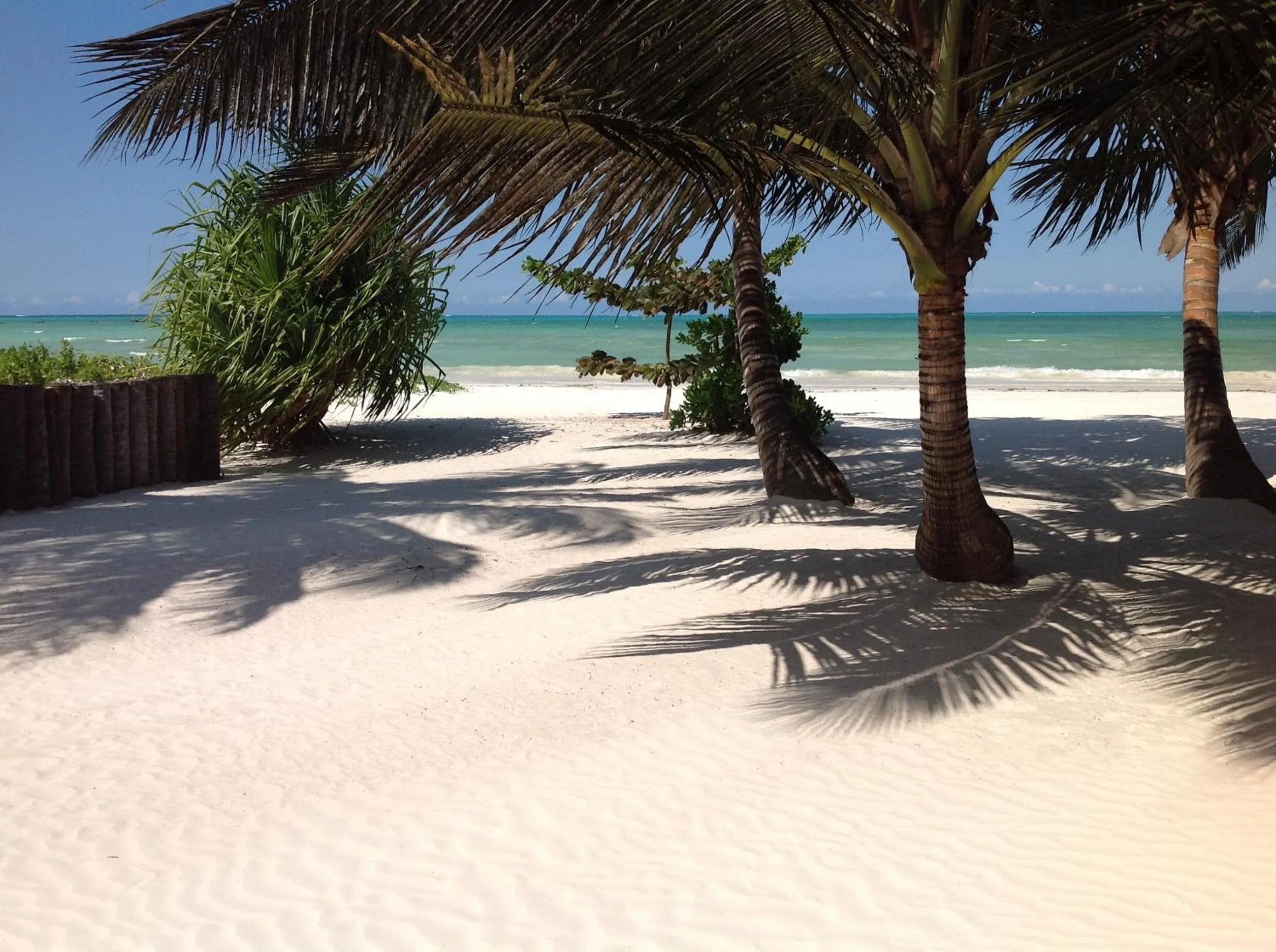 Beach in Pongwe Bay Resort