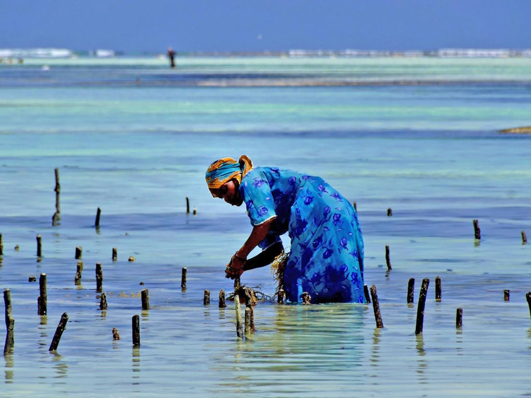 People in Pongwe Bay Resort