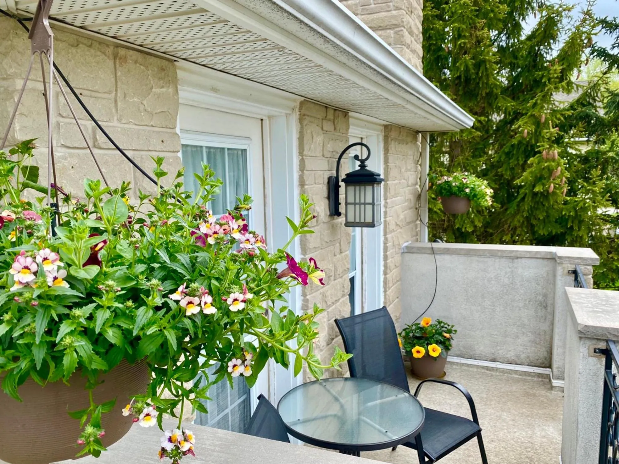 Balcony/Terrace in Explorer House Bed & Breakfast