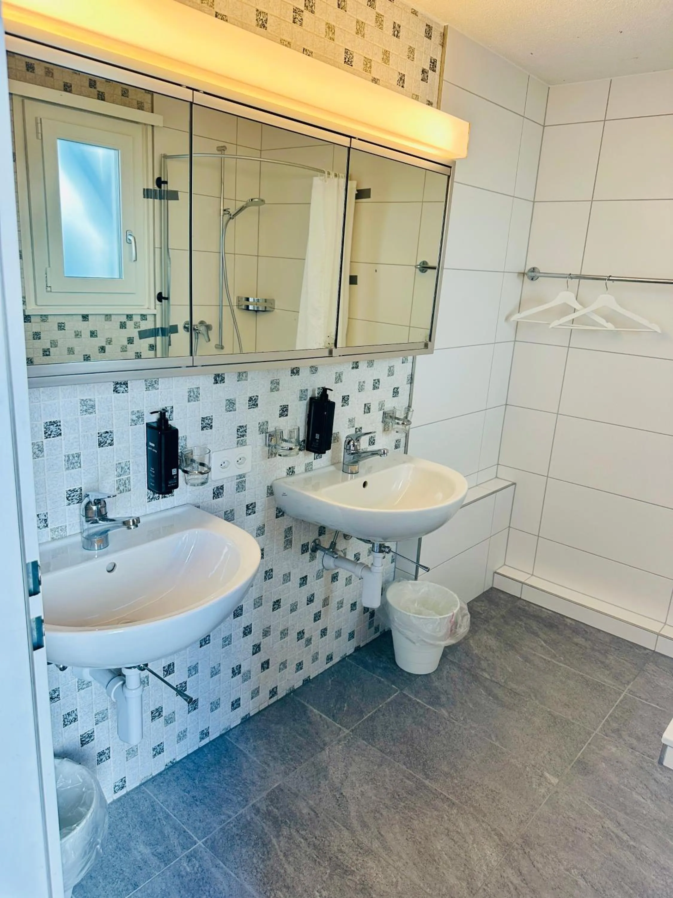 Shower in Hotel Rebstock Meiringen