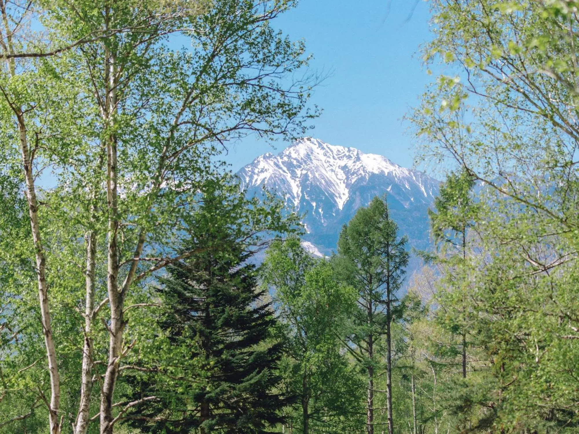 Natural landscape in Lodge Kent & Cottage Kent