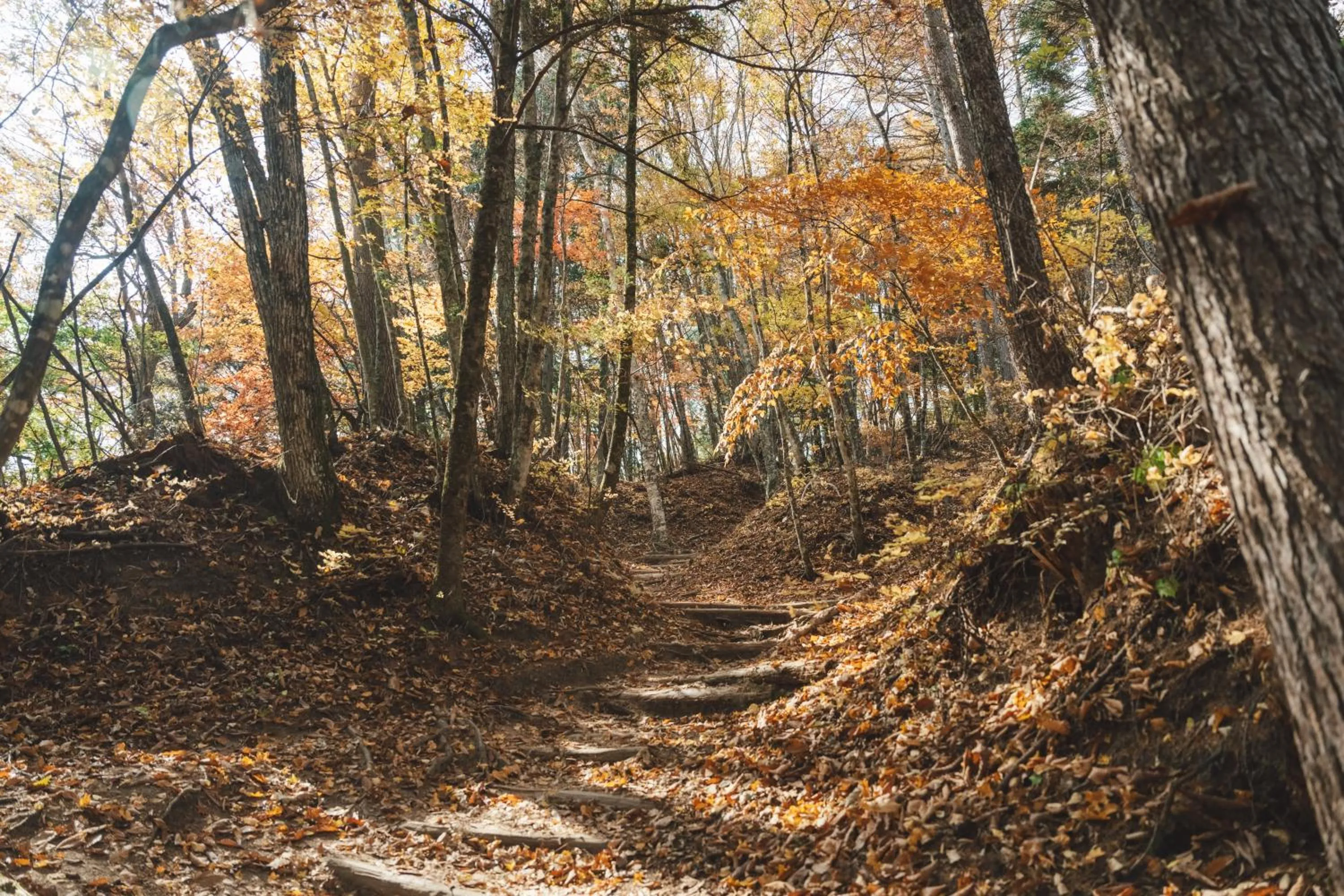 Hiking in Lodge Kent & Cottage Kent