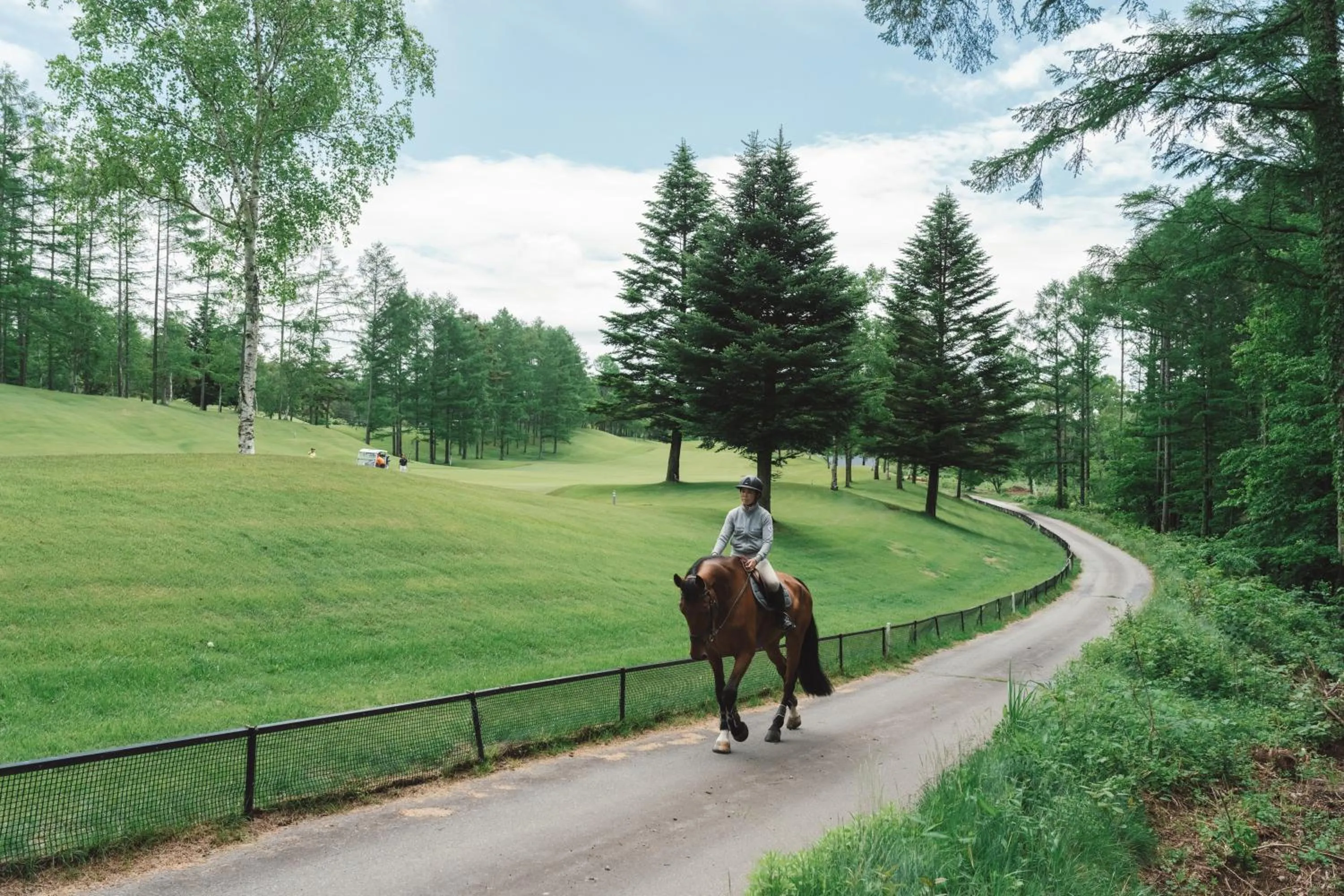 Horse-riding in Lodge Kent & Cottage Kent
