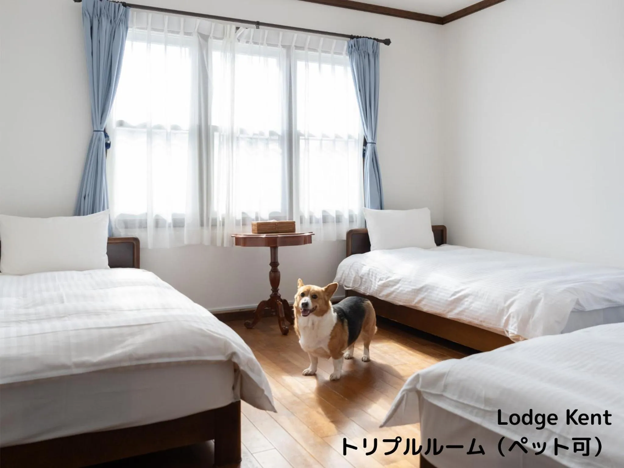 Bedroom, Bed in Lodge Kent & Cottage Kent