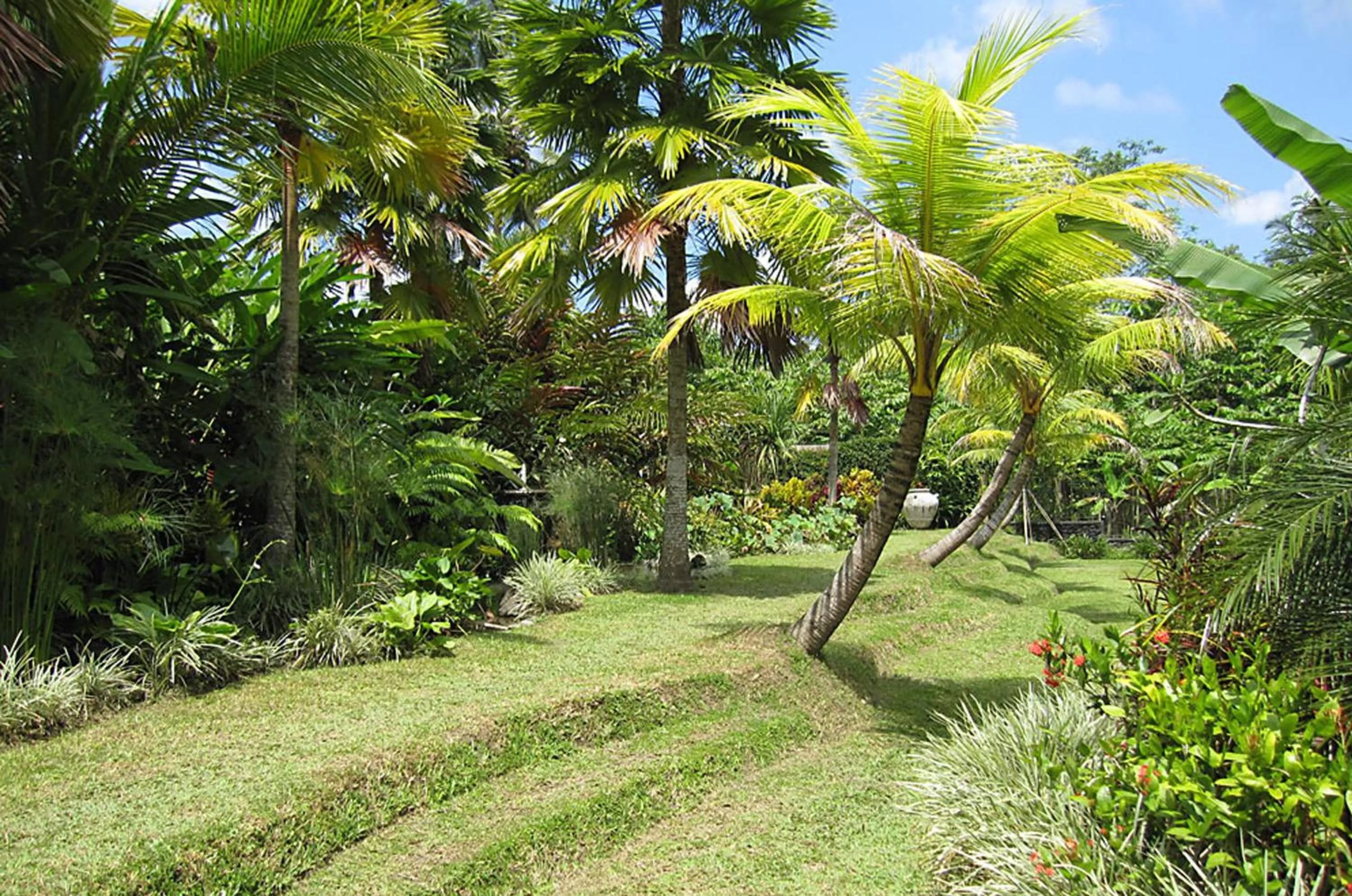 Garden in Jendela Di Bali Villa