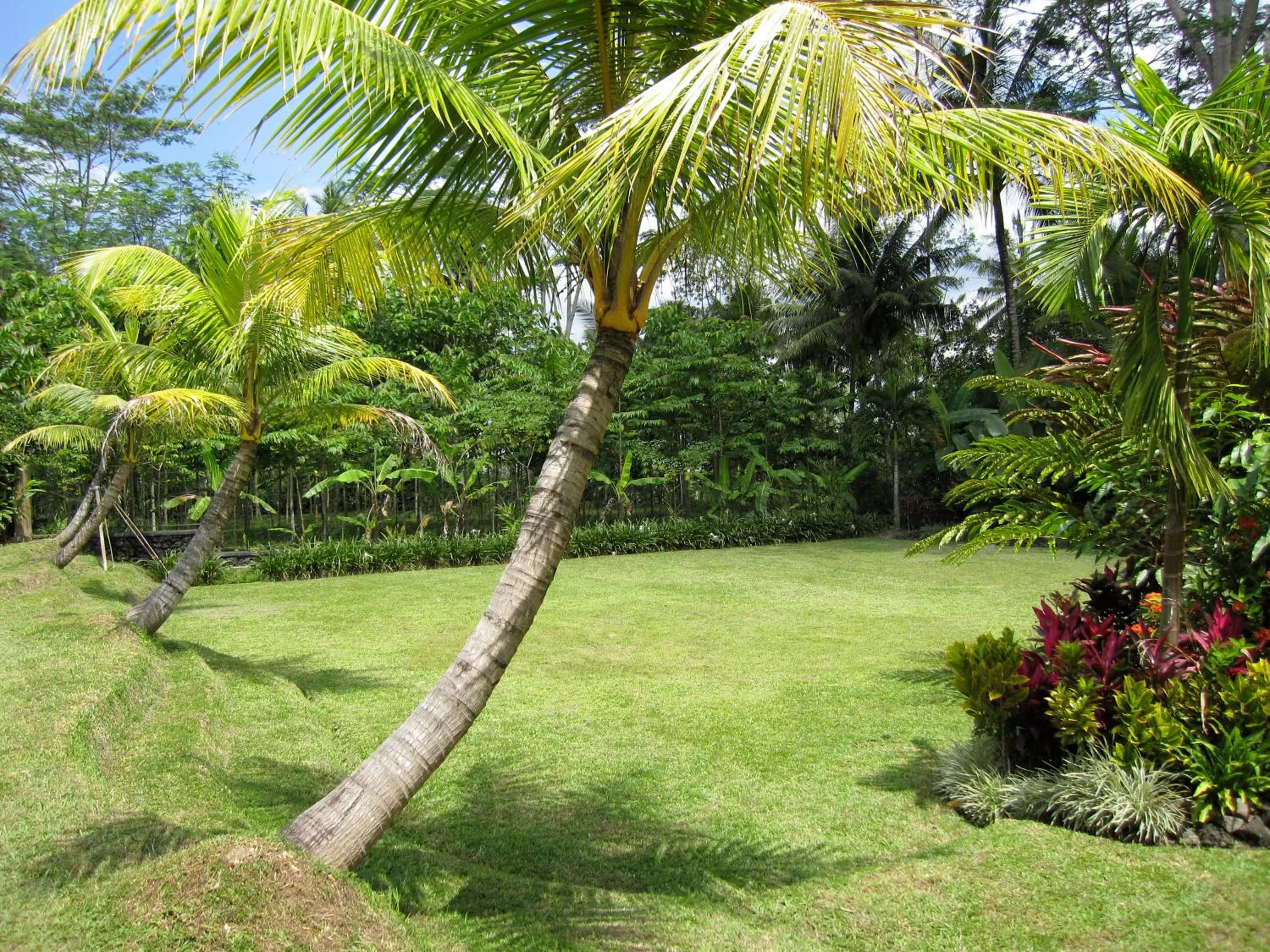 Garden in Jendela Di Bali Villa