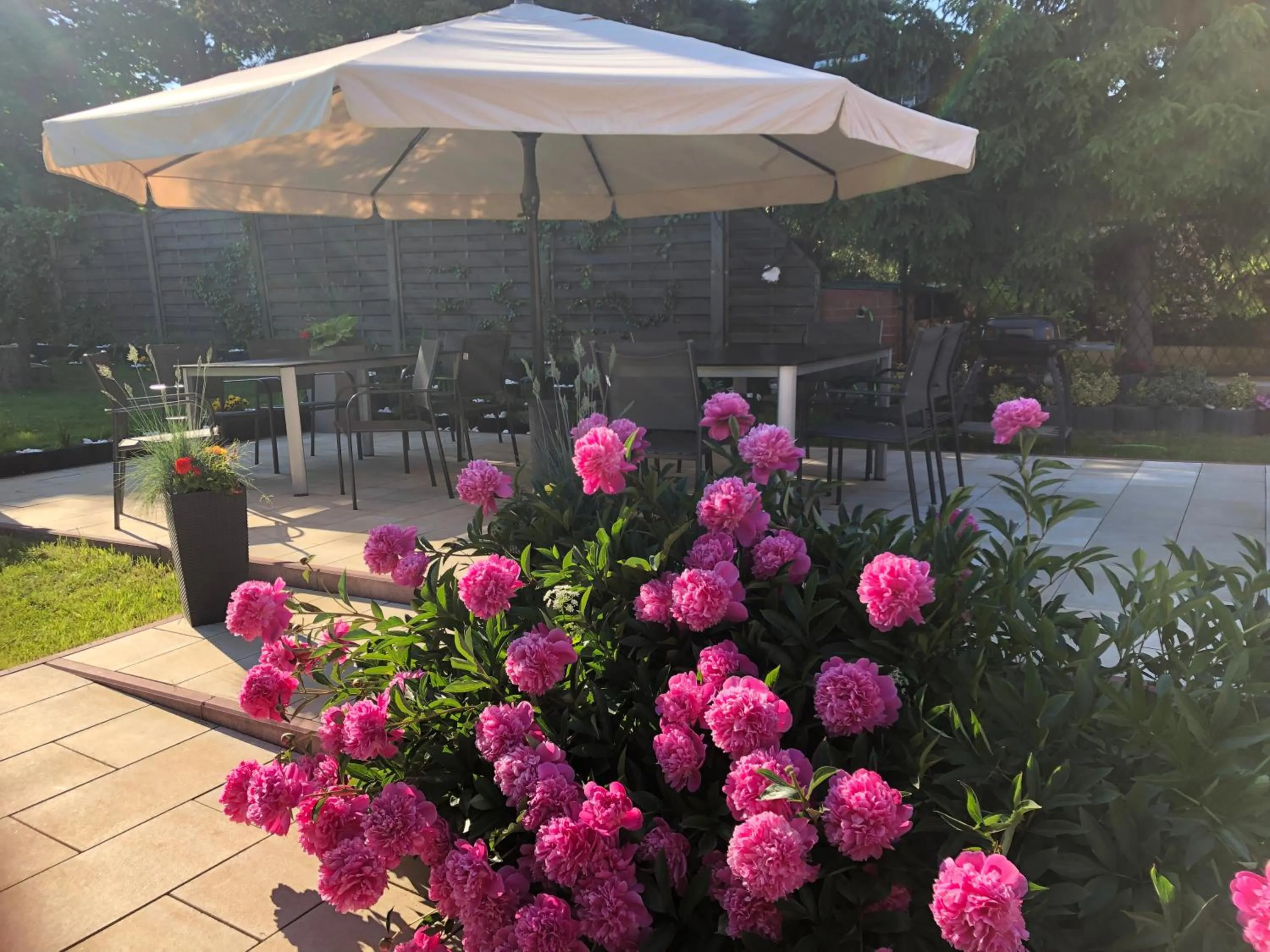 Garden in Aida POKOJE GOŚCINNE GDAŃSK - ROOMS & FREE PARKING