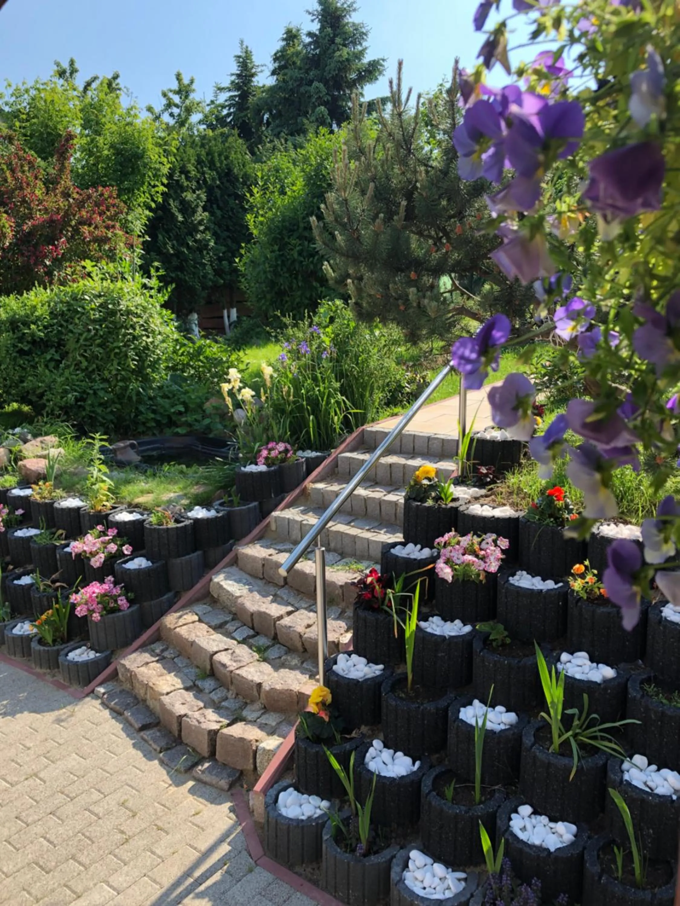 Garden in Aida POKOJE GOŚCINNE GDAŃSK - ROOMS & FREE PARKING