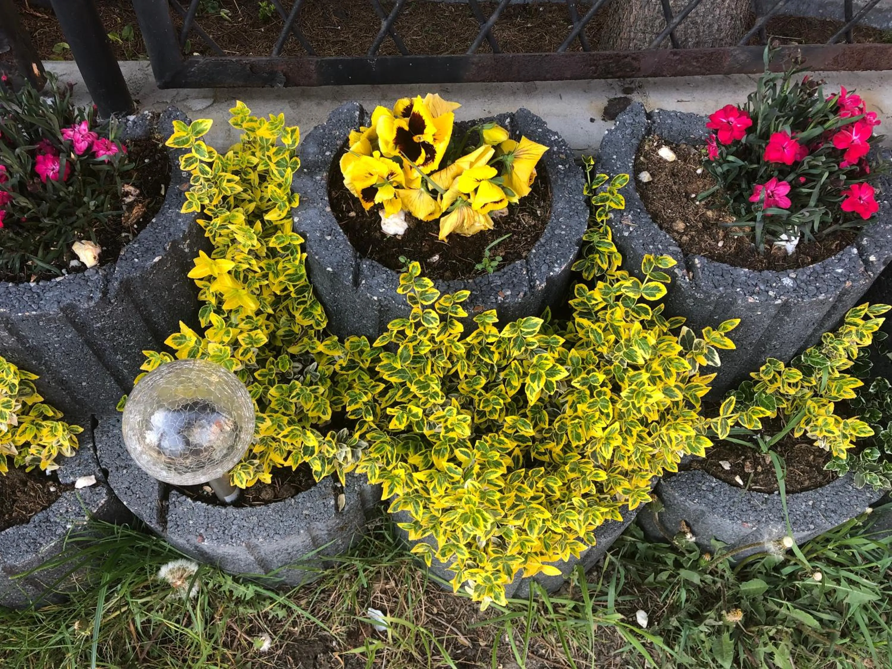 Garden in Aida POKOJE GOŚCINNE GDAŃSK - ROOMS & FREE PARKING