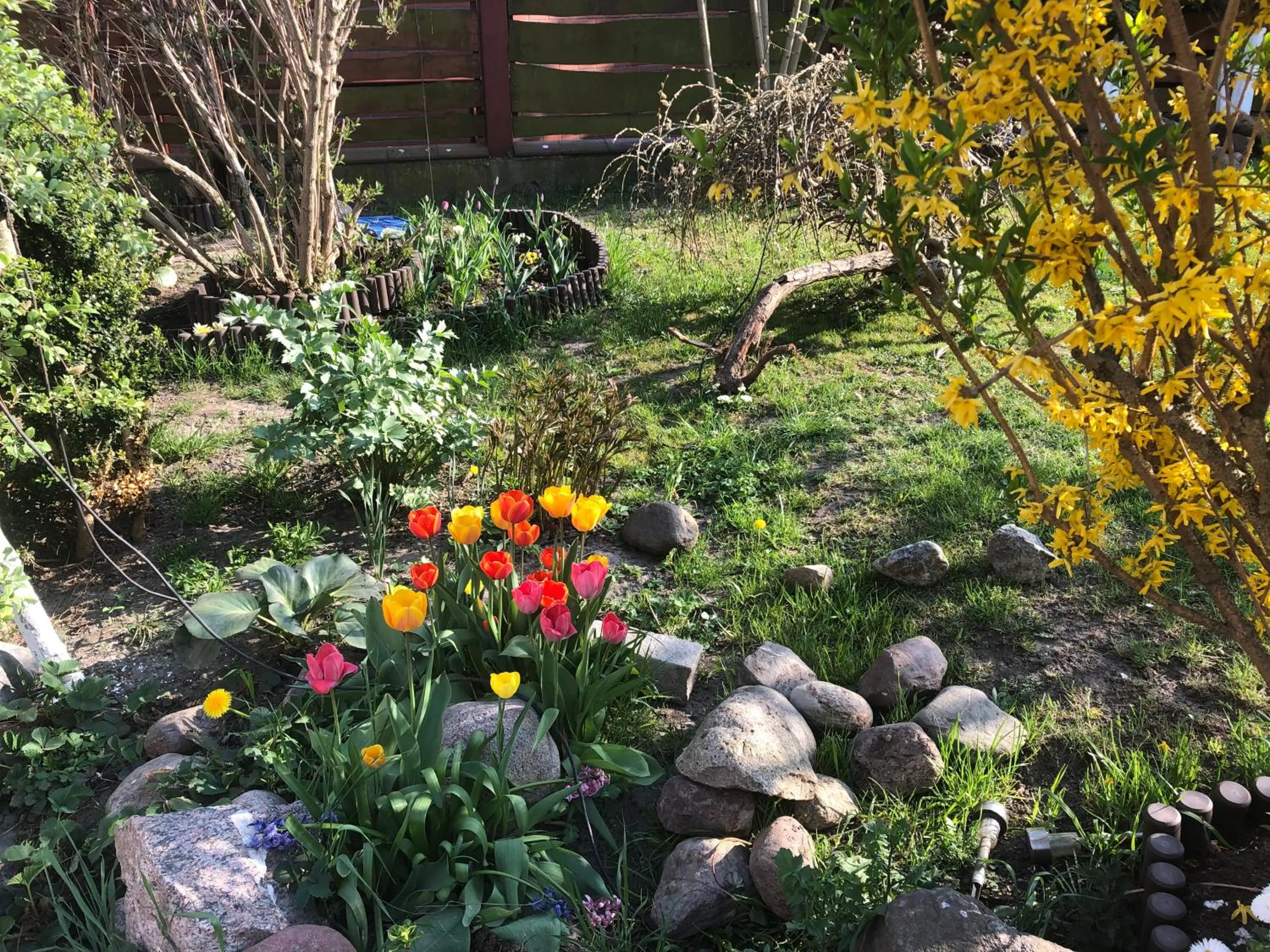 Garden in Aida POKOJE GOŚCINNE GDAŃSK - ROOMS & FREE PARKING