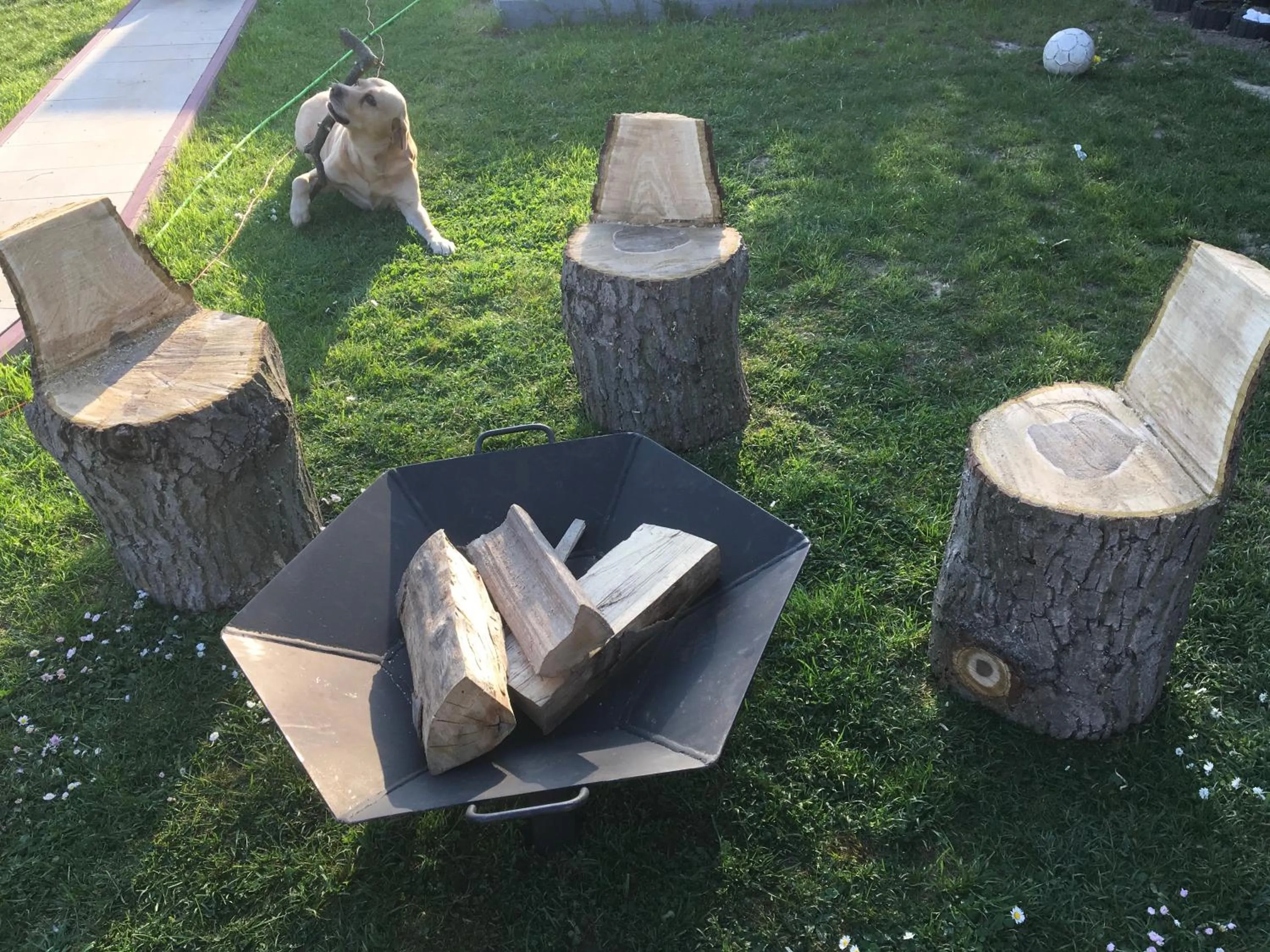 Garden in Aida POKOJE GOŚCINNE GDAŃSK - ROOMS & FREE PARKING