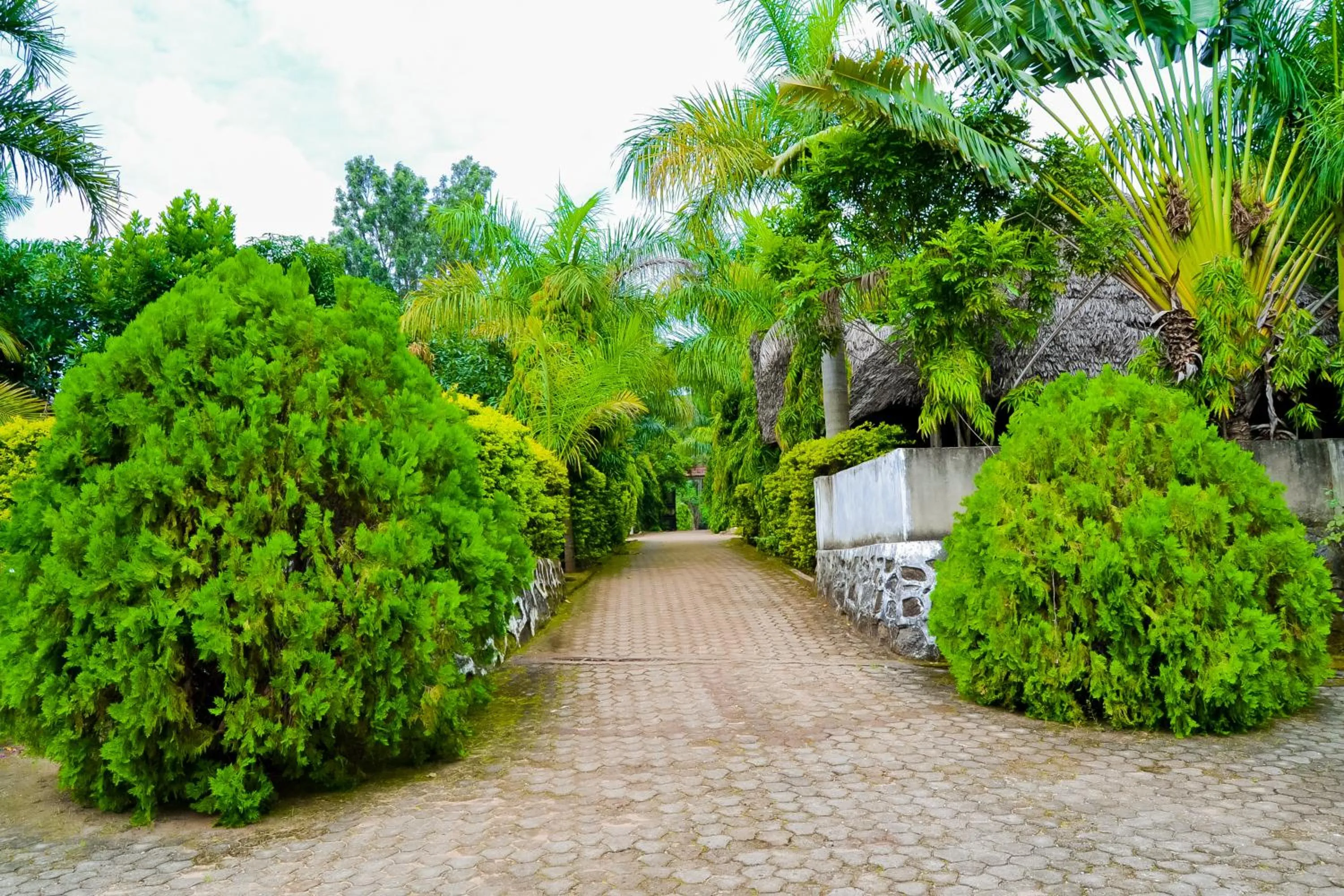 Garden in West-East Lodge