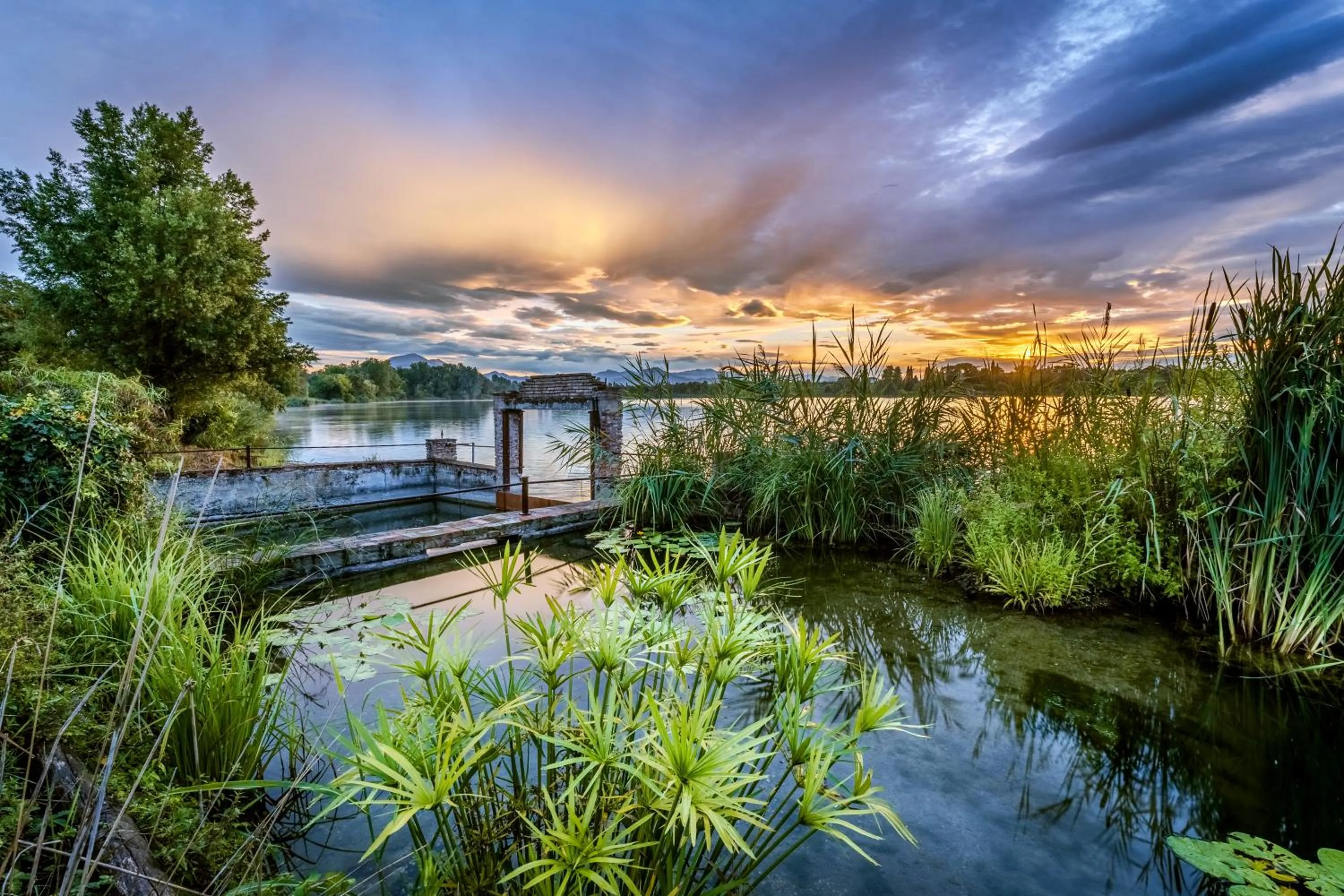 Garden in Le Ali Del Frassino