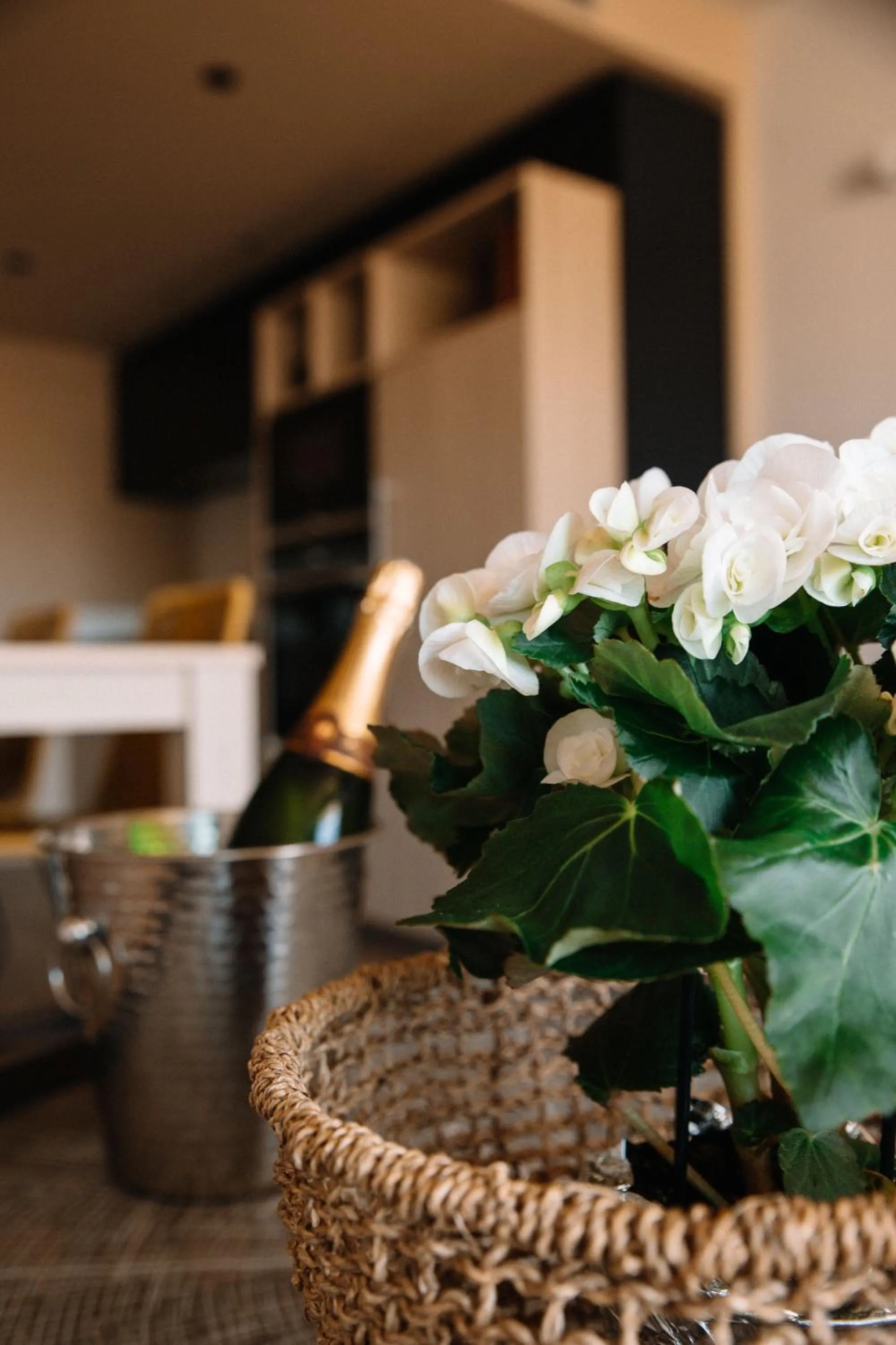 Kitchen or kitchenette in Résidence Châteauneuf