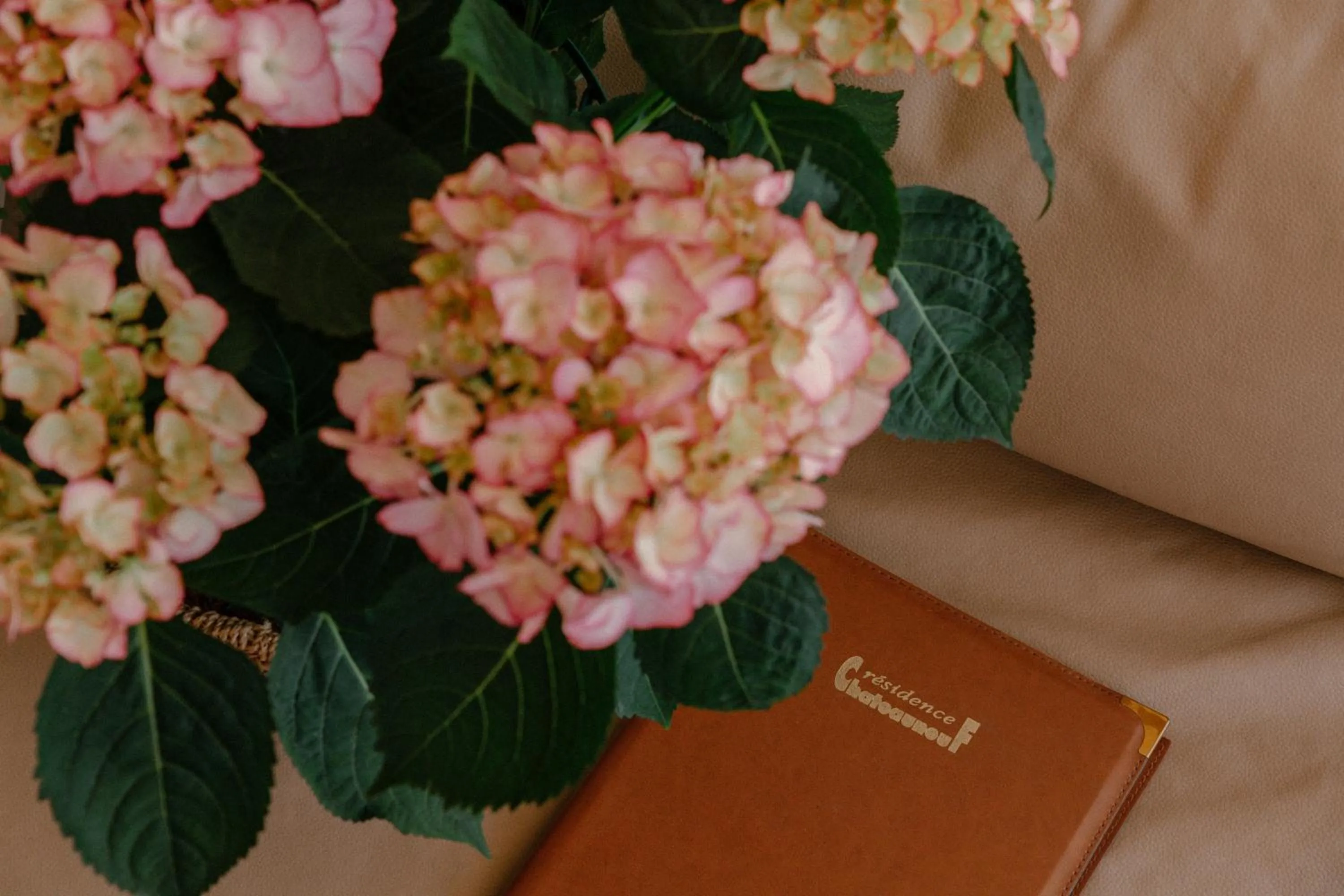 Living room in Résidence Châteauneuf