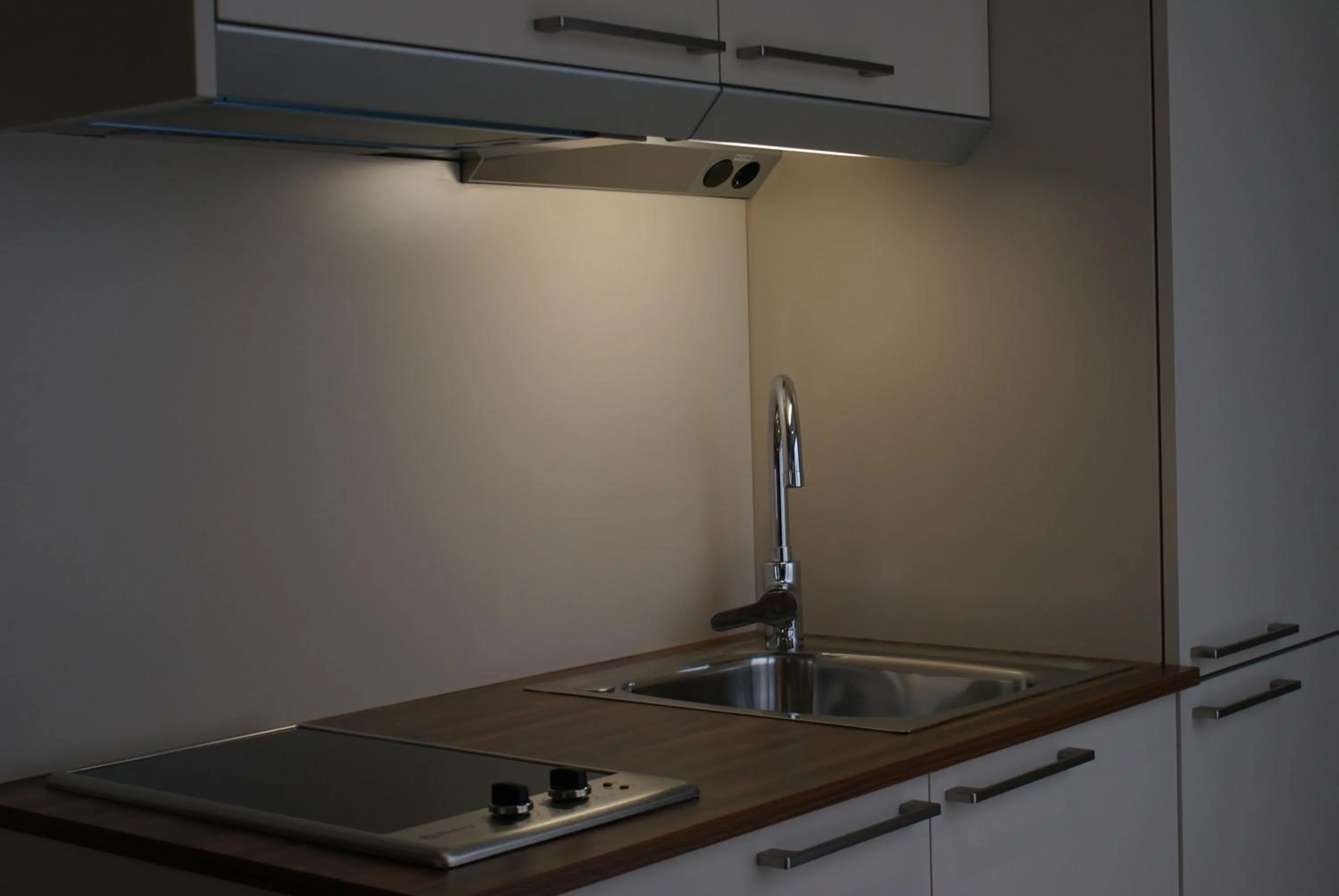 Kitchen or kitchenette in Aparthotel K