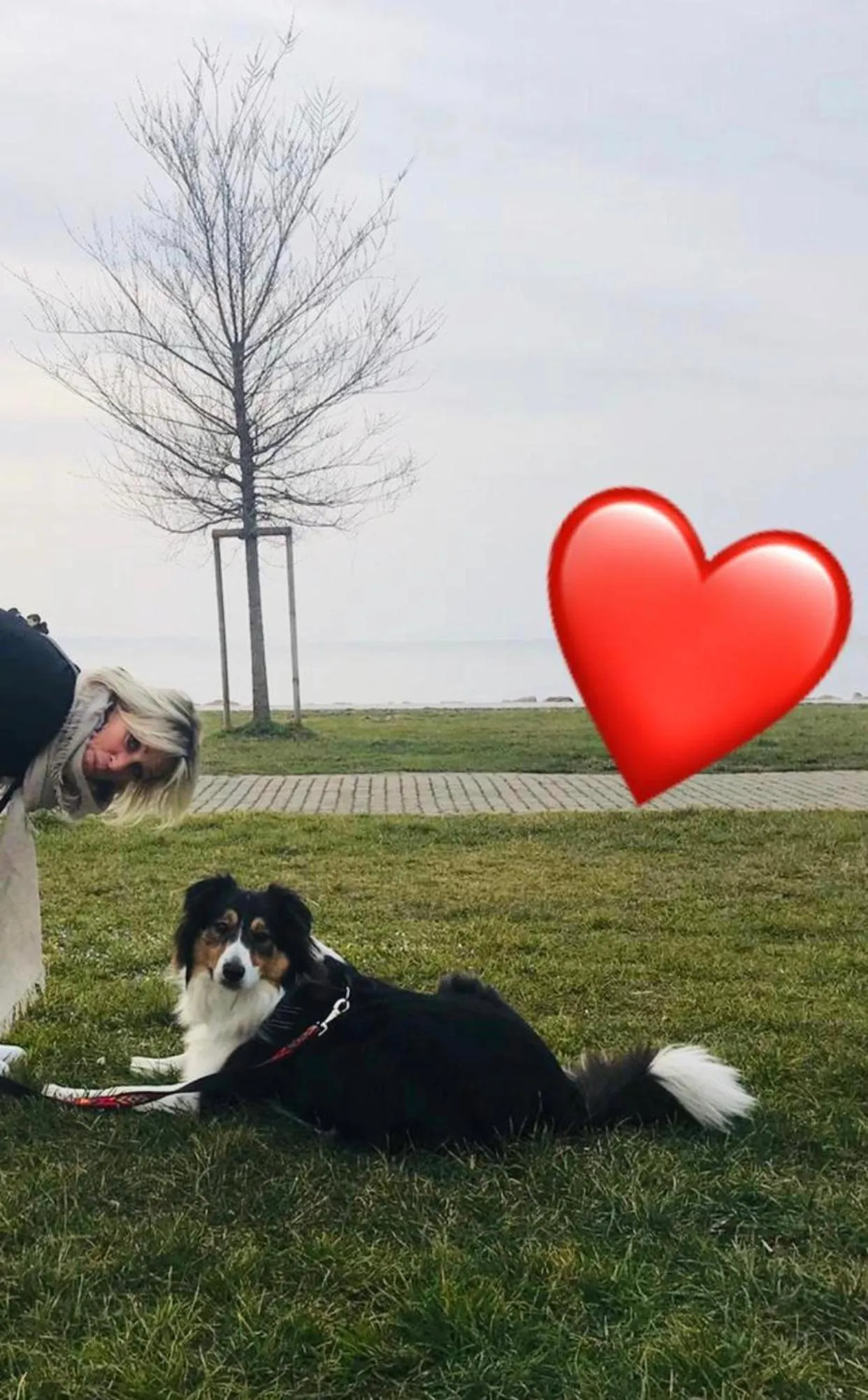 Pets in B&B Sul Garda