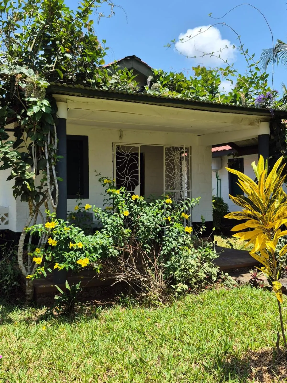 Property building in African Dream Cottages - Diani Beach
