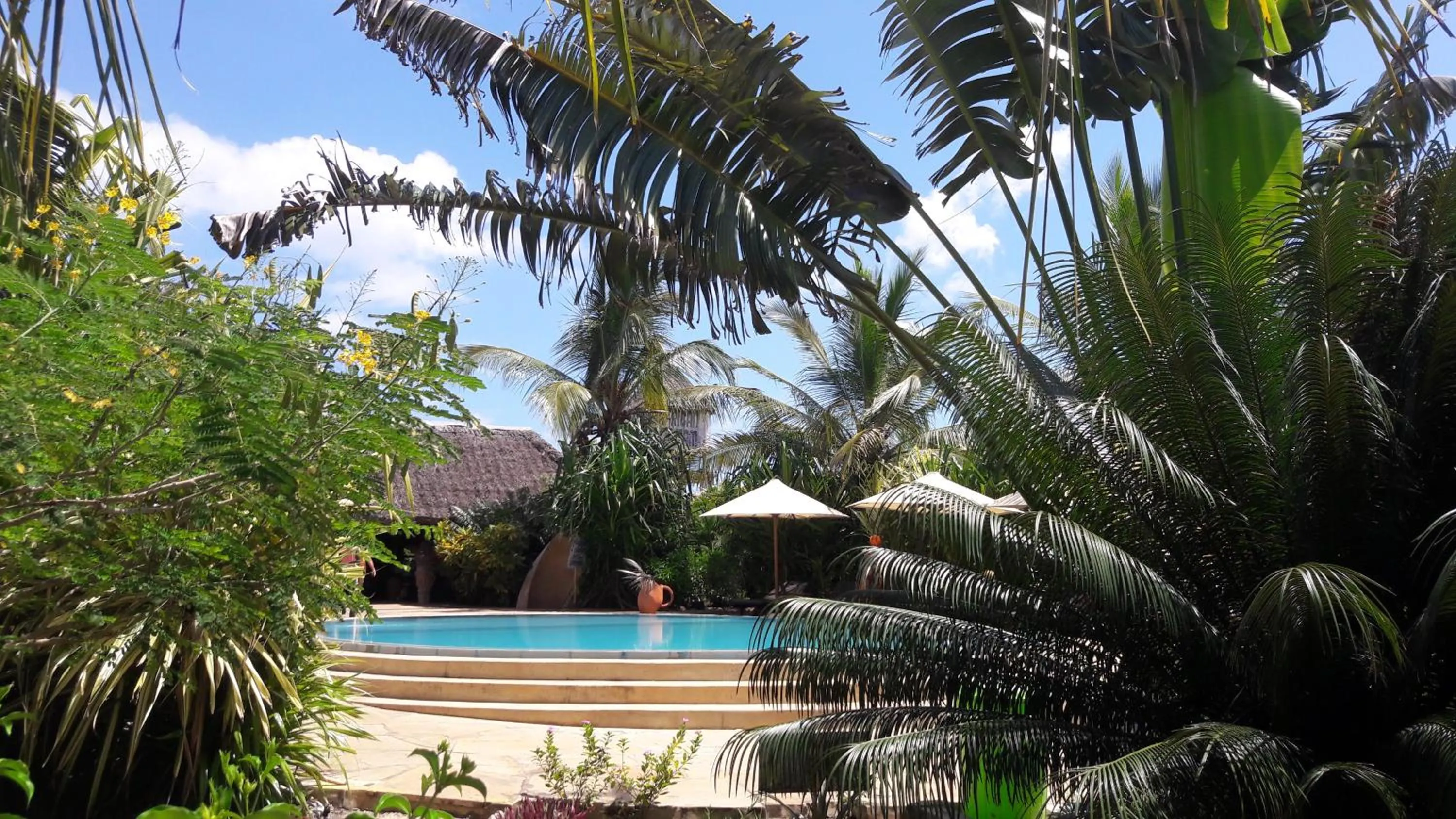 Garden in African Dream Cottages - Diani Beach