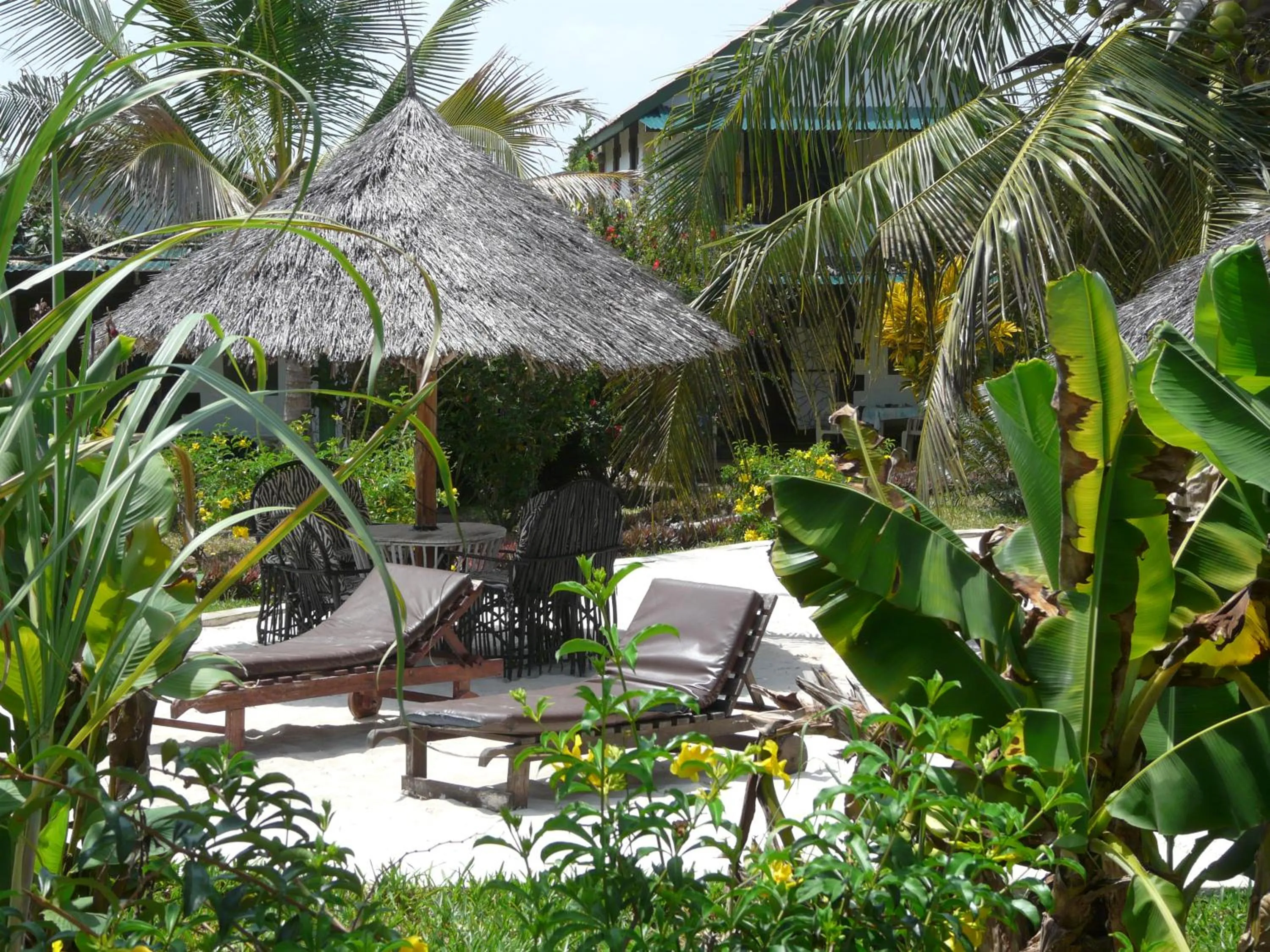 Garden in African Dream Cottages - Diani Beach