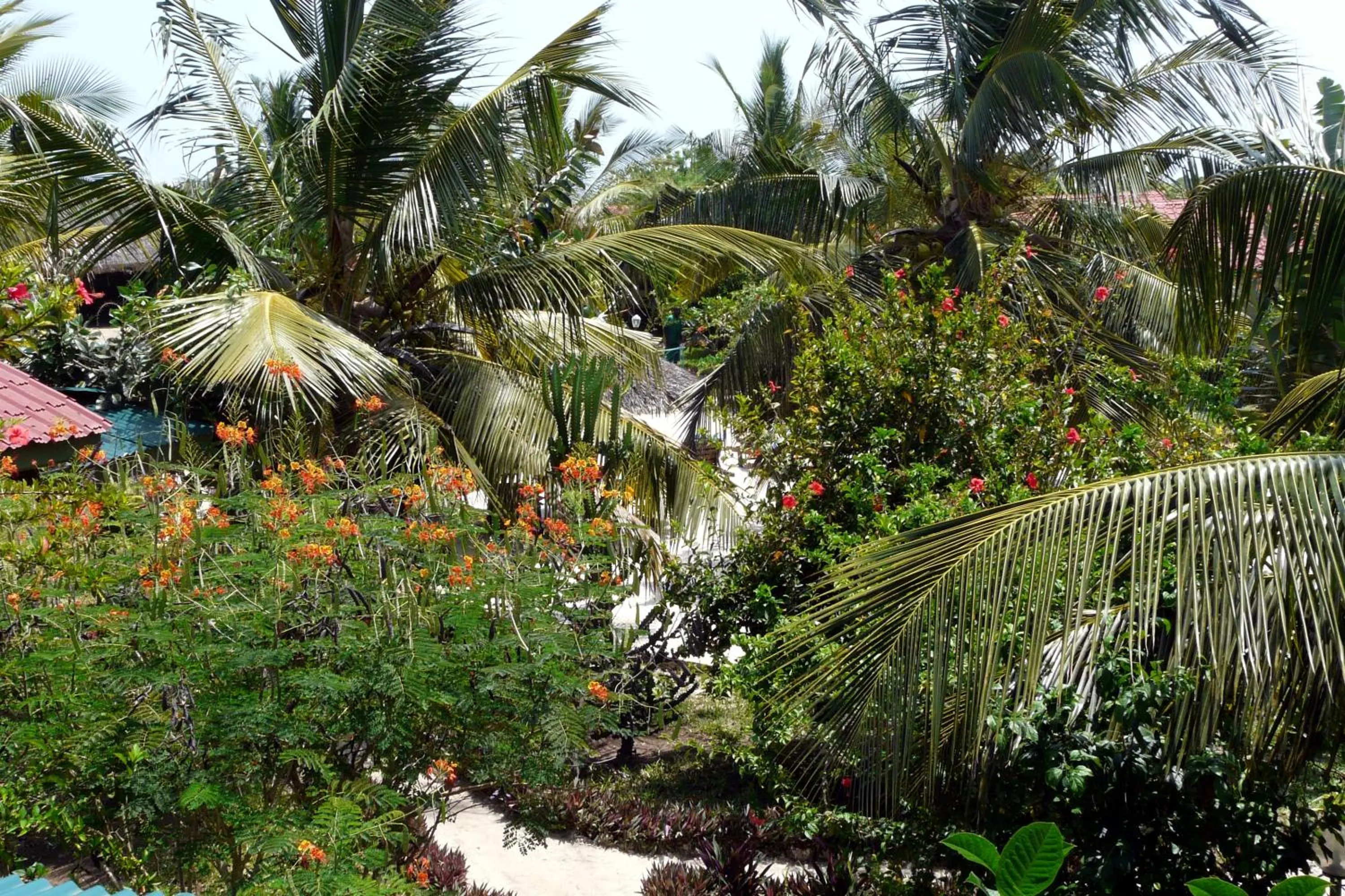 Garden in African Dream Cottages - Diani Beach