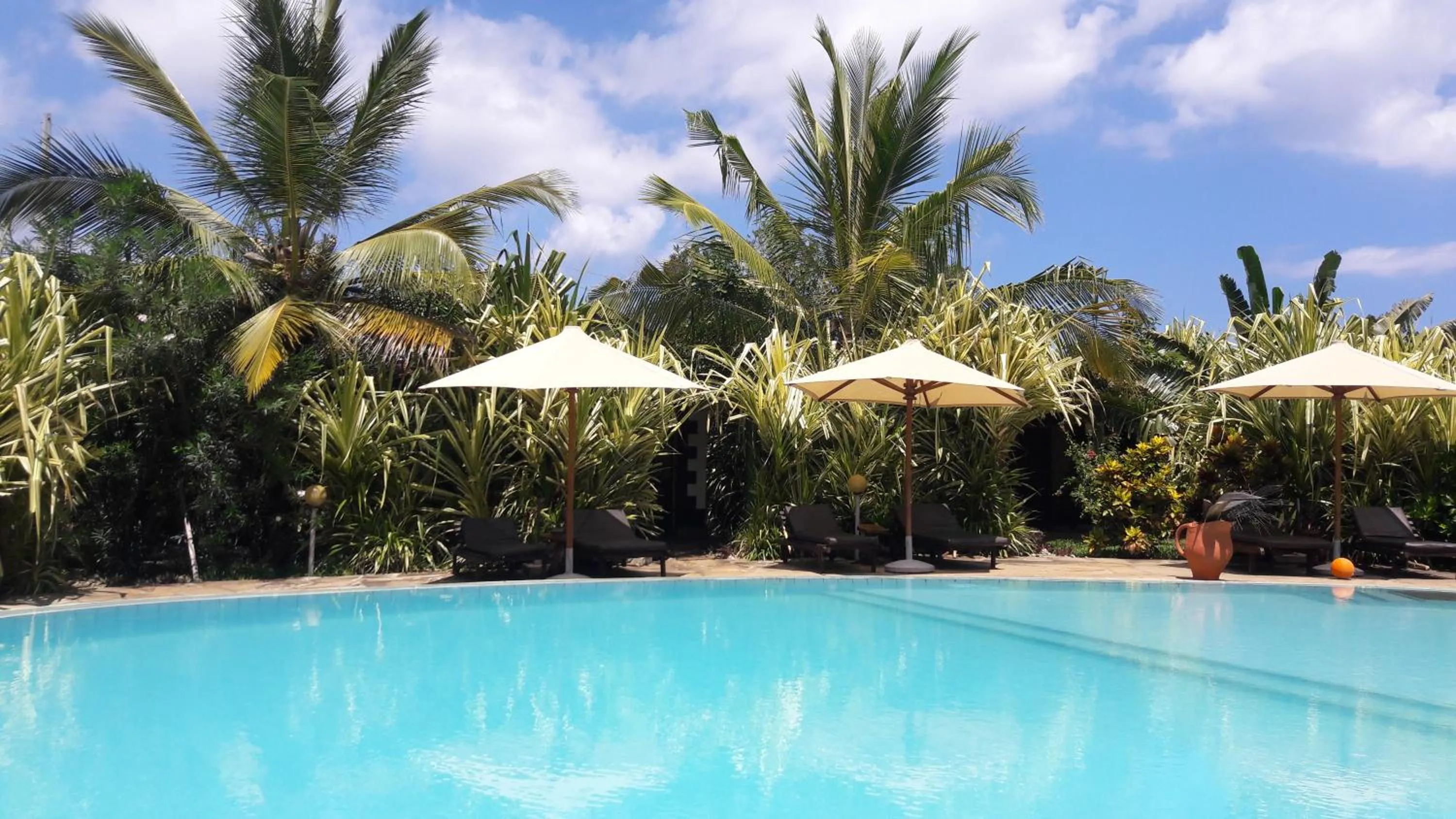 Garden in African Dream Cottages - Diani Beach