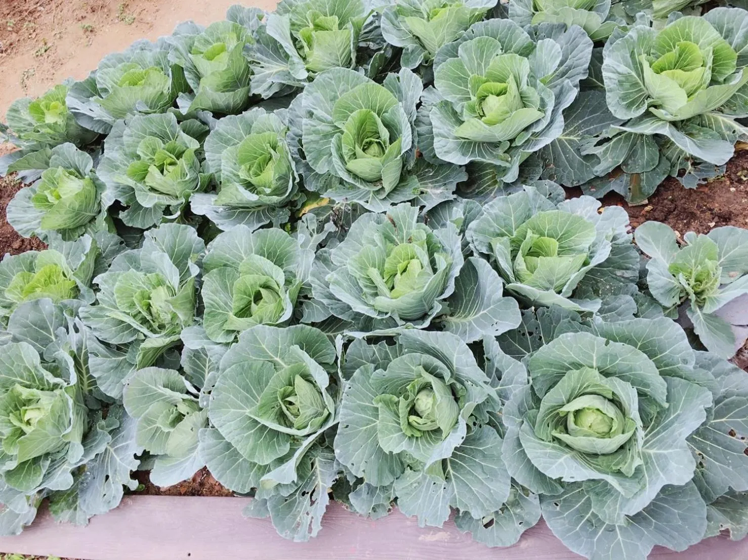 Natural landscape in I-Shan B&B