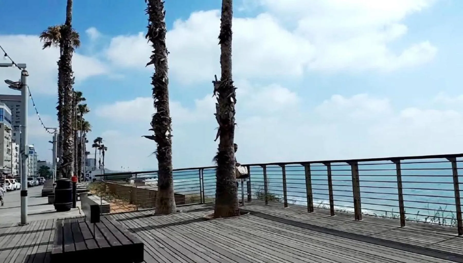 Beach in Motel Hofim