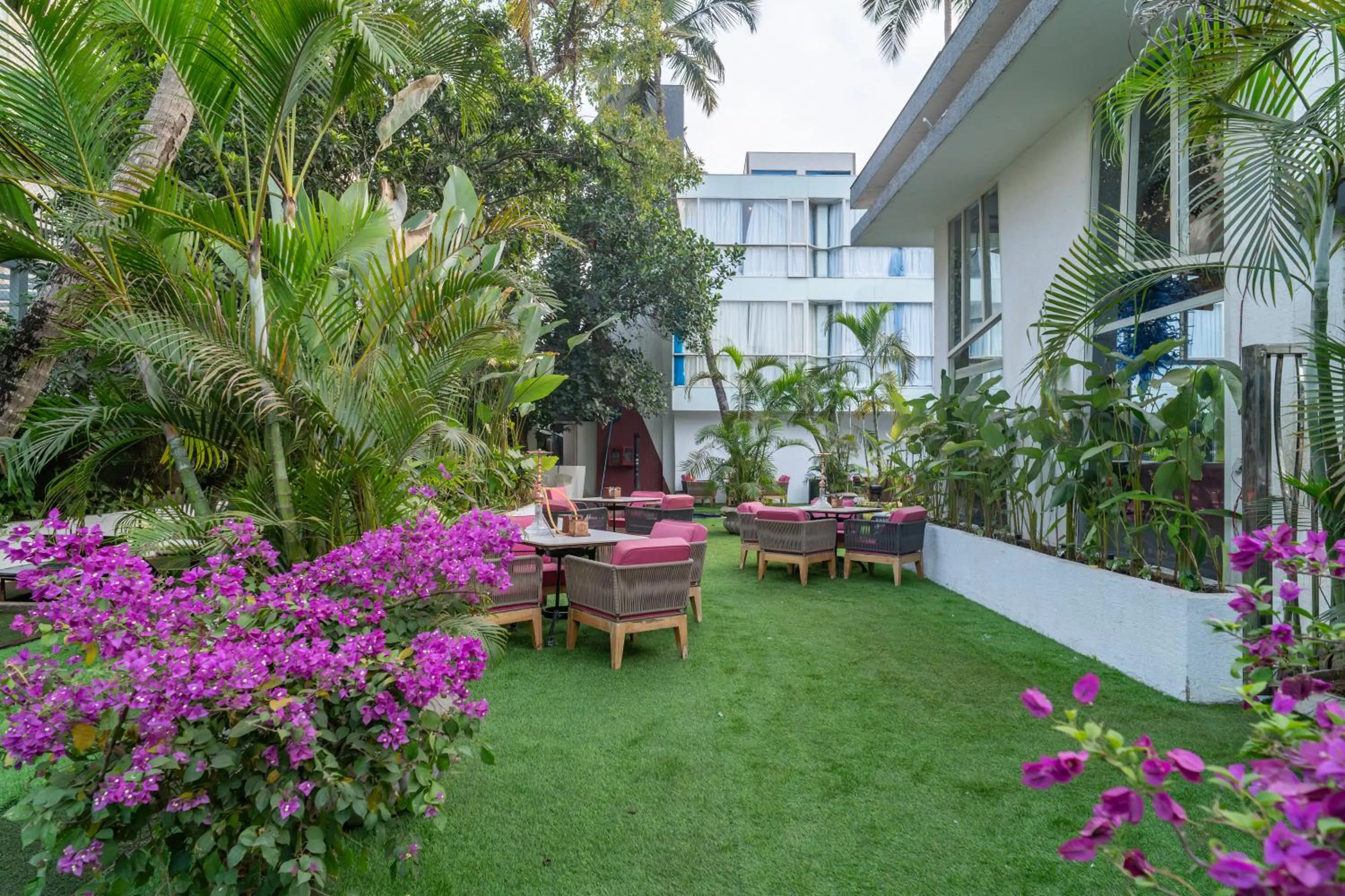 Garden in I Love Bell Bottoms Vagator Goa