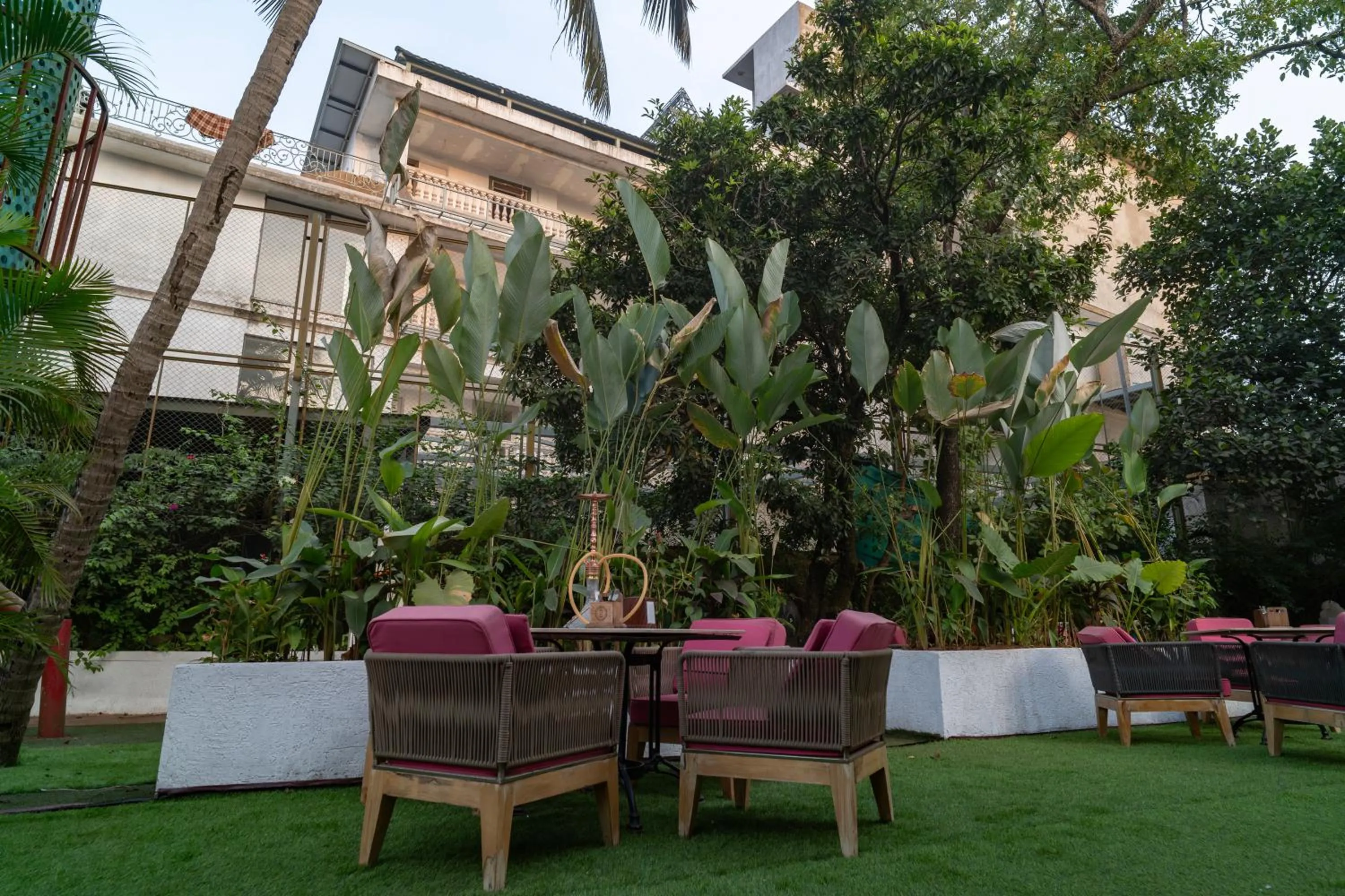 Garden in I Love Bell Bottoms Vagator Goa