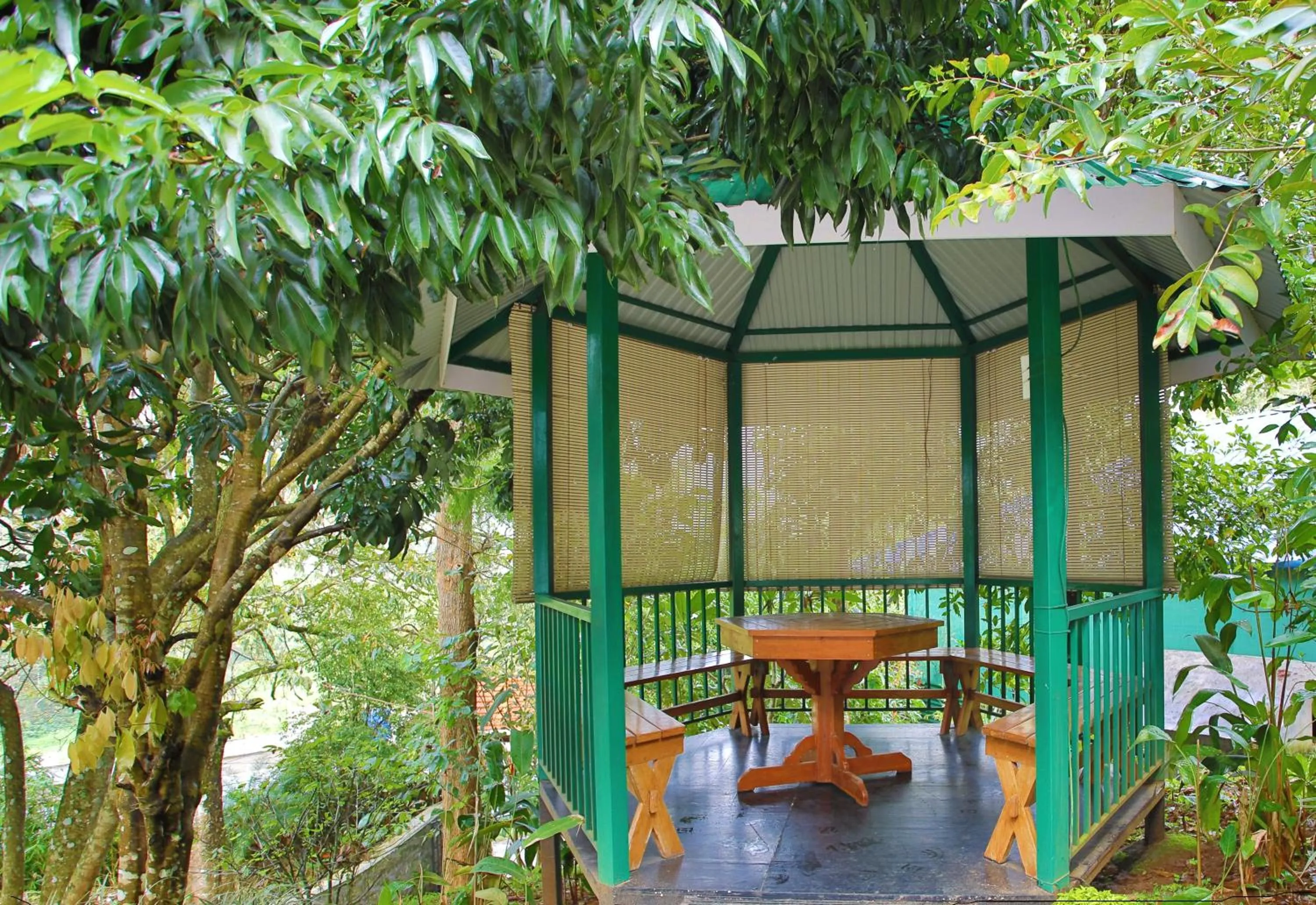 Garden in Chithirapuram Palace