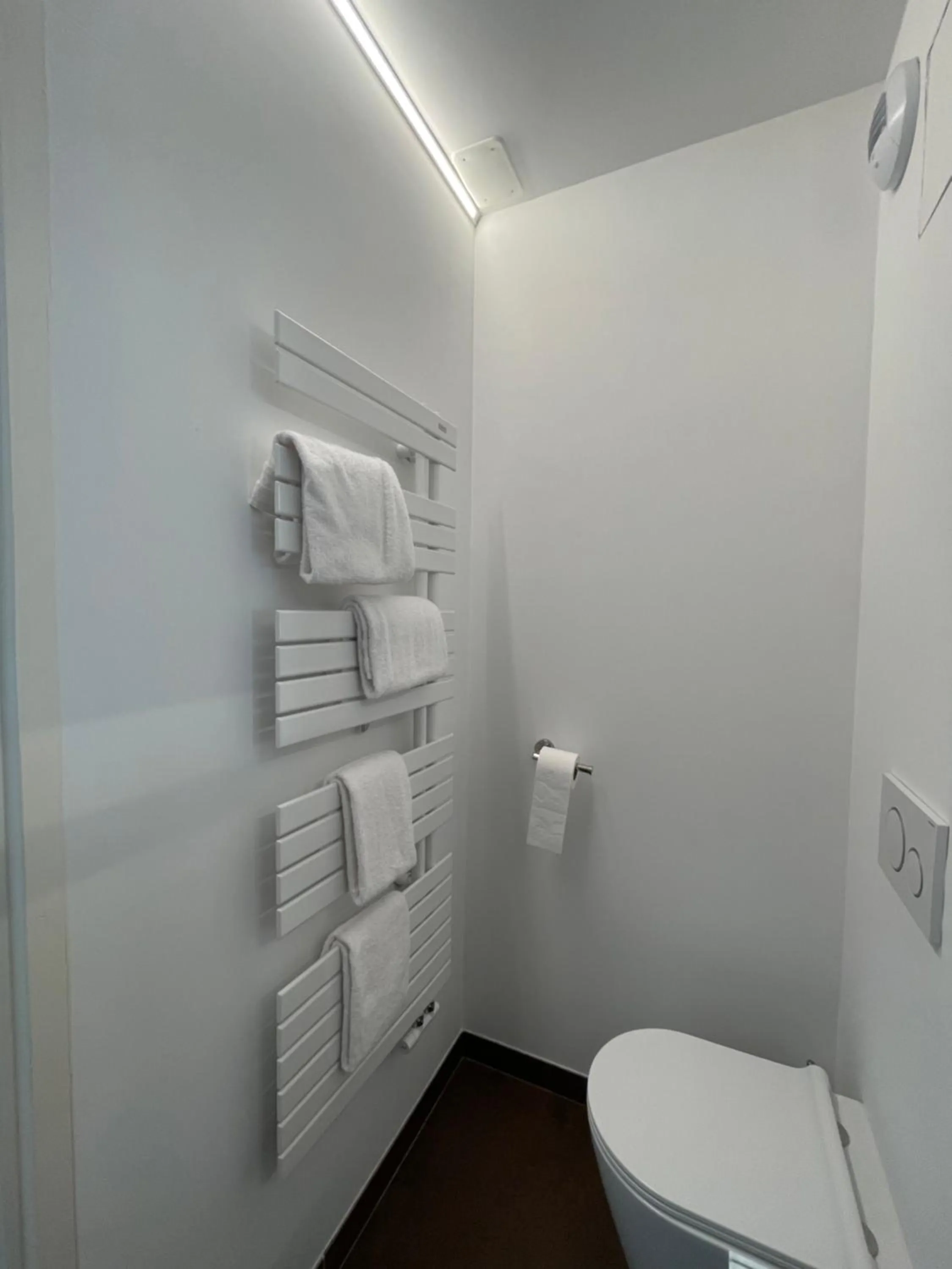 Toilet in Hôtel Le Manoir du Roselier