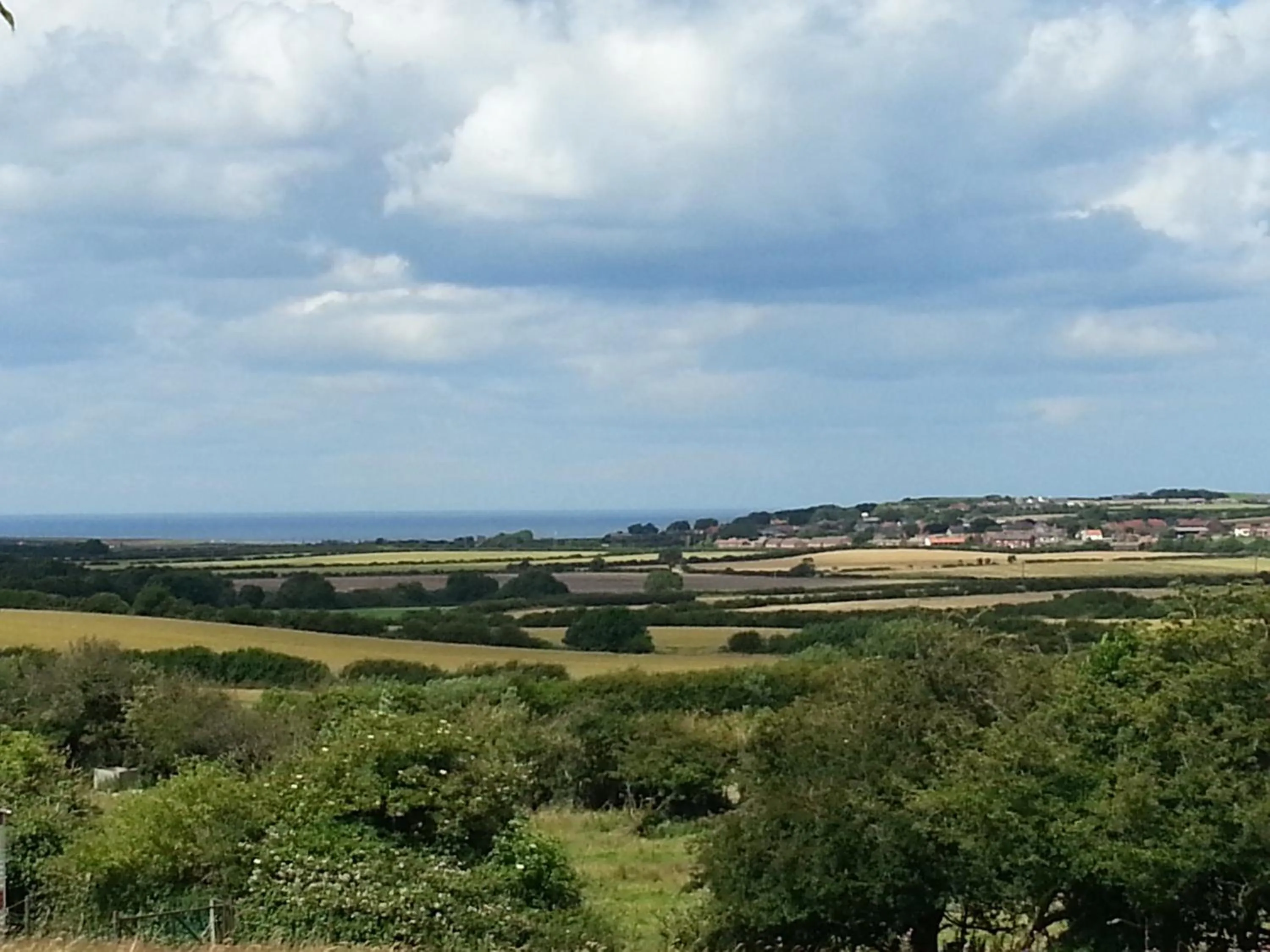 Area and facilities in Ellerby Country Inn