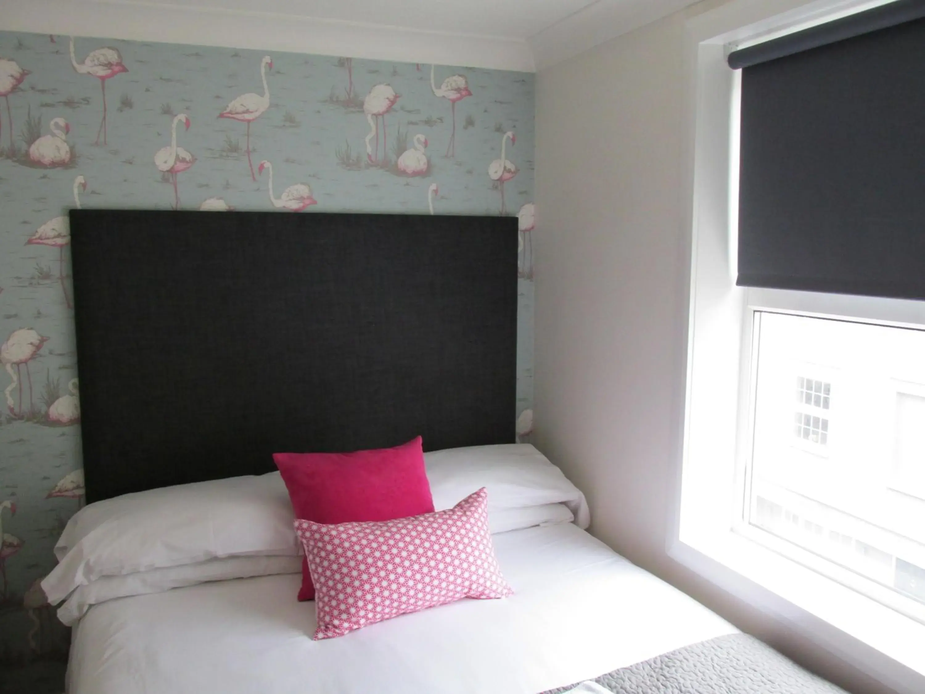 Double Room in The White House Double Room in The White House