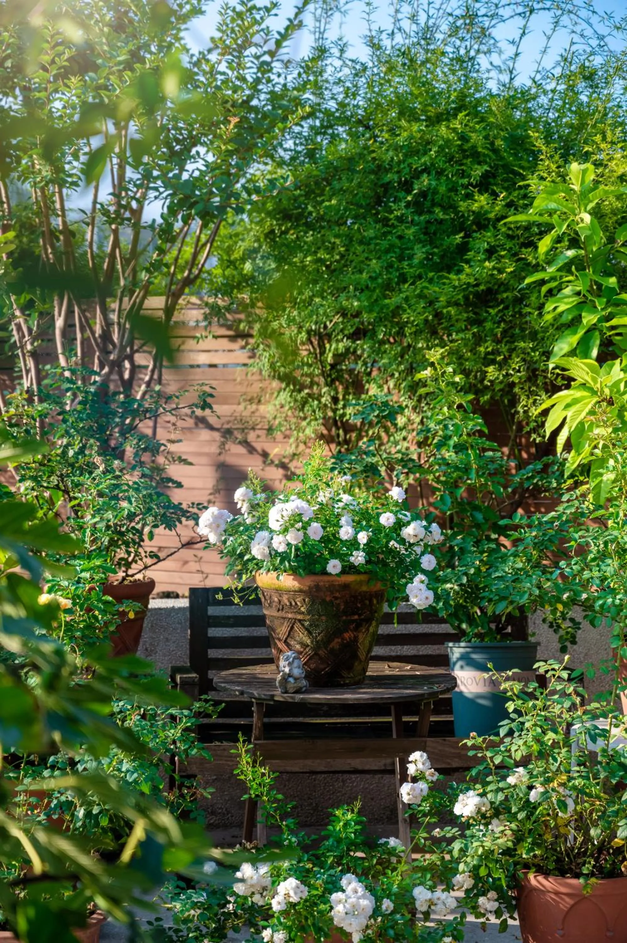 Restaurant/places to eat in Wuyu Hotel - Chongqing Jiangbei Airport & Light Rail